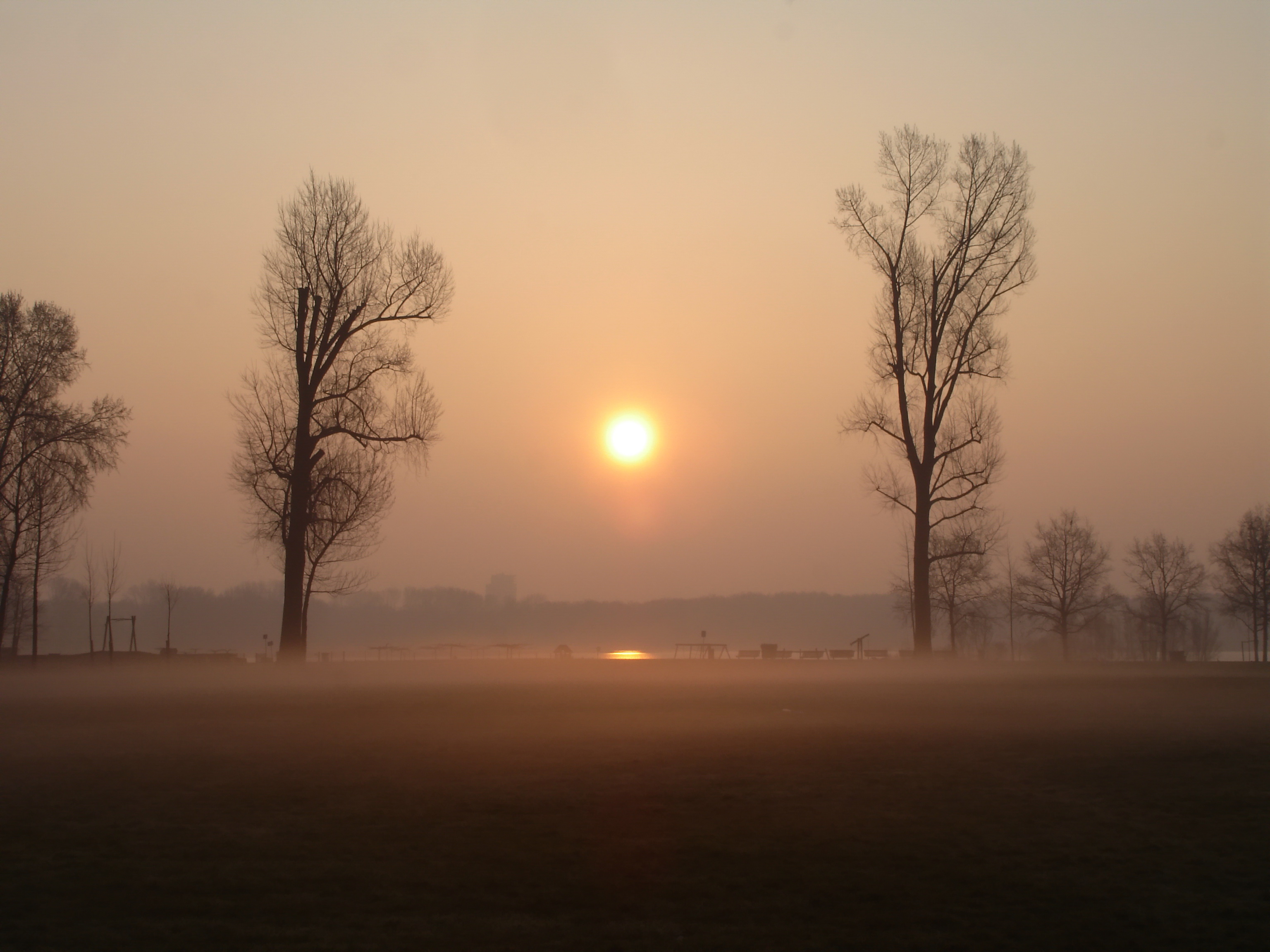 Zonsopkomst Kralingsebos(rotterdam)