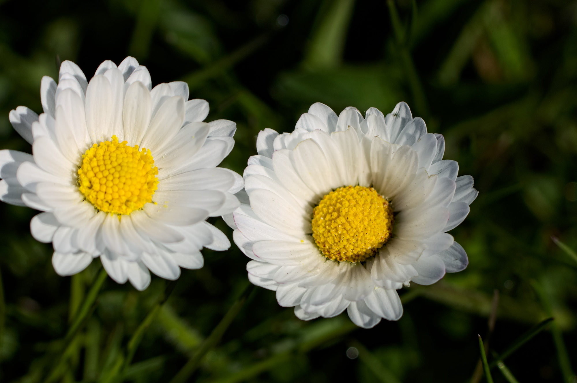 (made)lieflijk samen