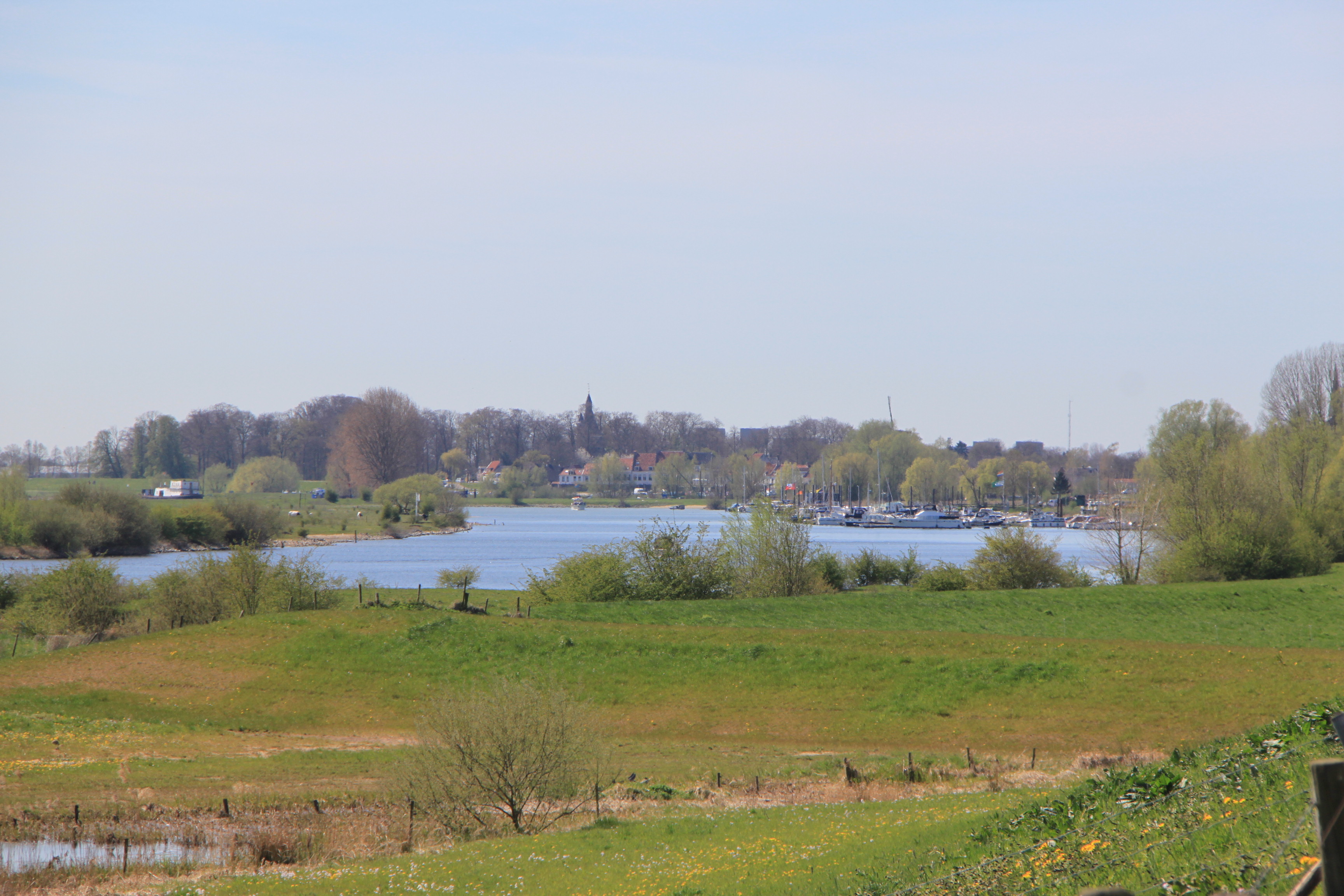Nederrijn