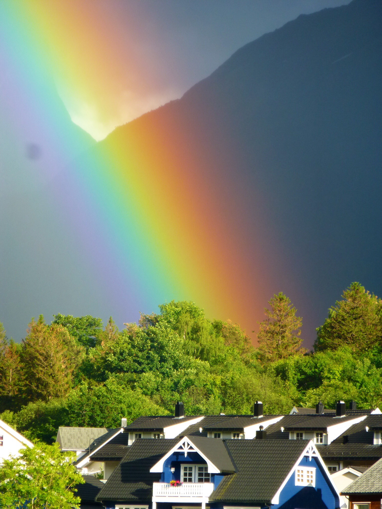 Regenboog