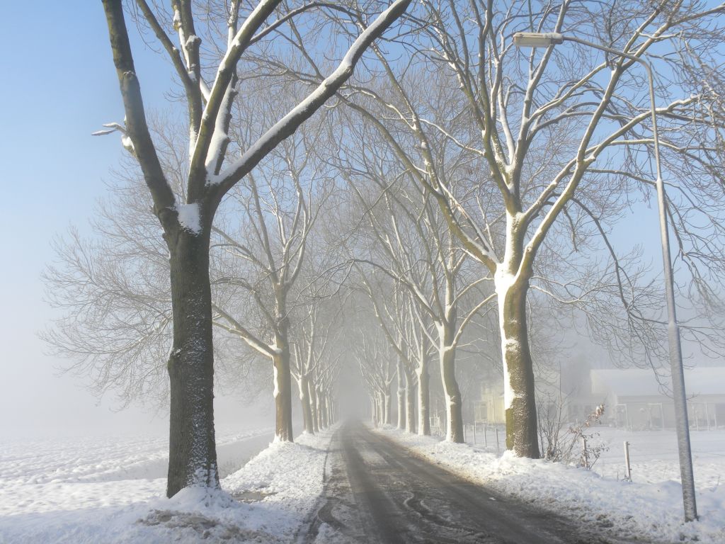 sneeuw