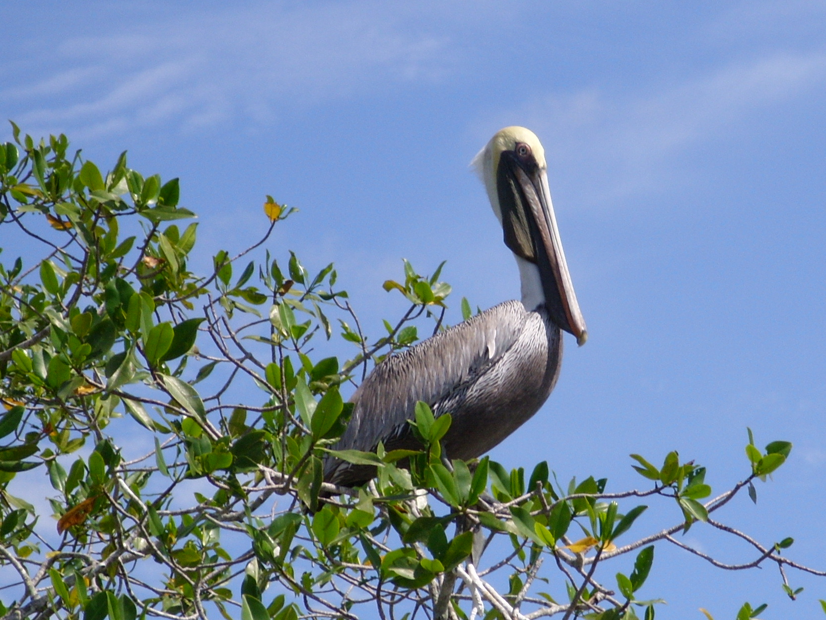 fotowedstrijd "Verjaardagskalender"