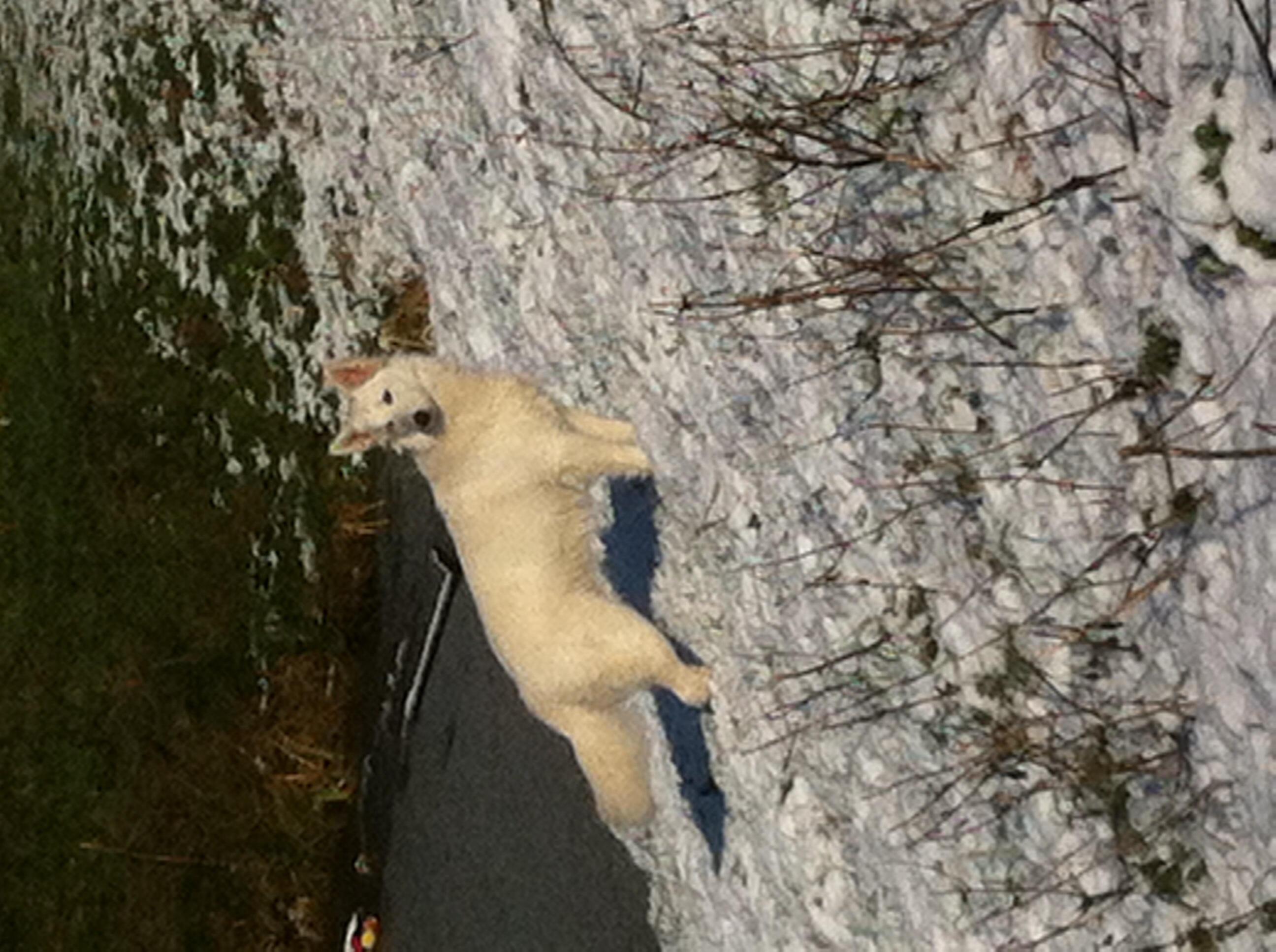 Winter