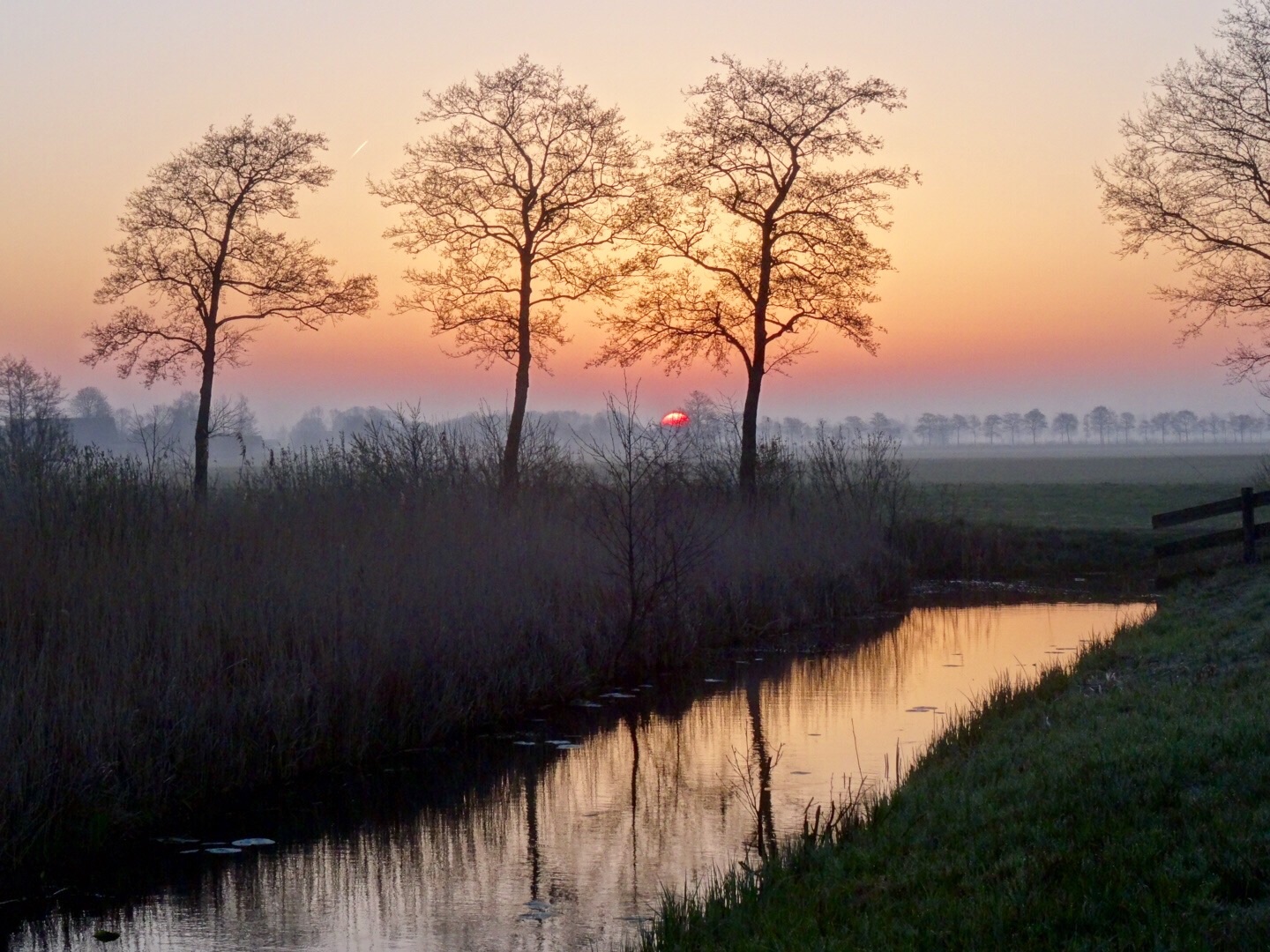 Zonsopkomst in...