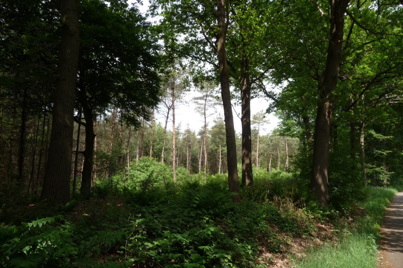 Langs Barneveldsestraat
