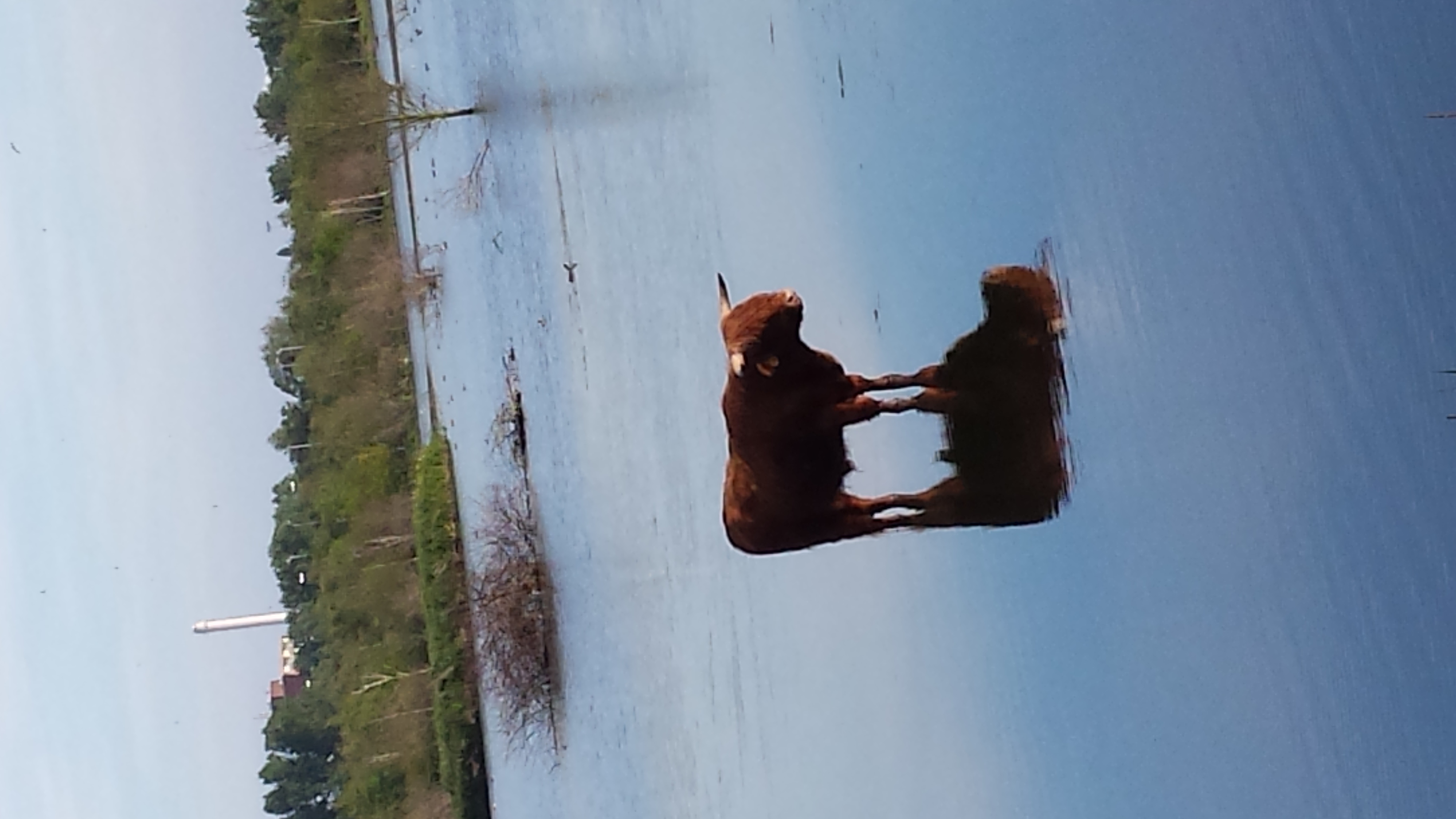 afkoelen