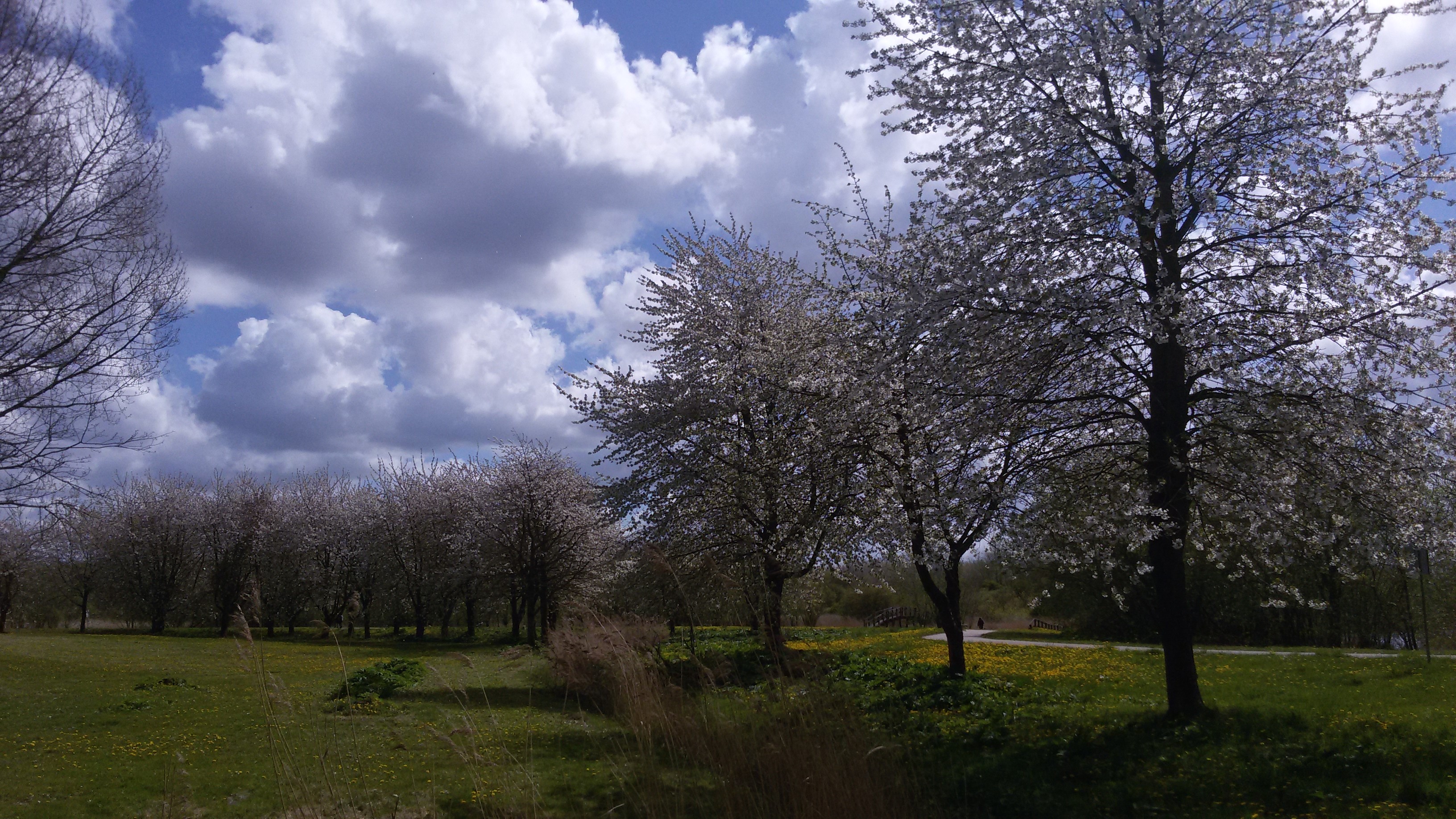 lente in Kromslootpark