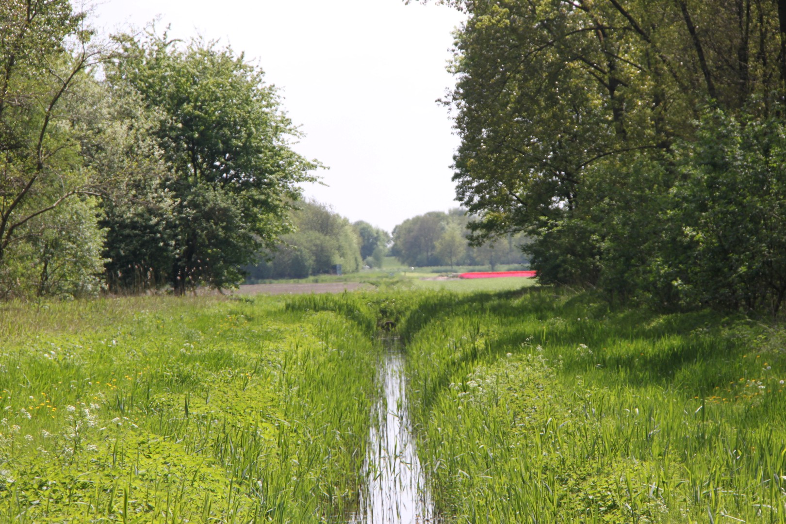 Bossen,sloten en bollenvelden