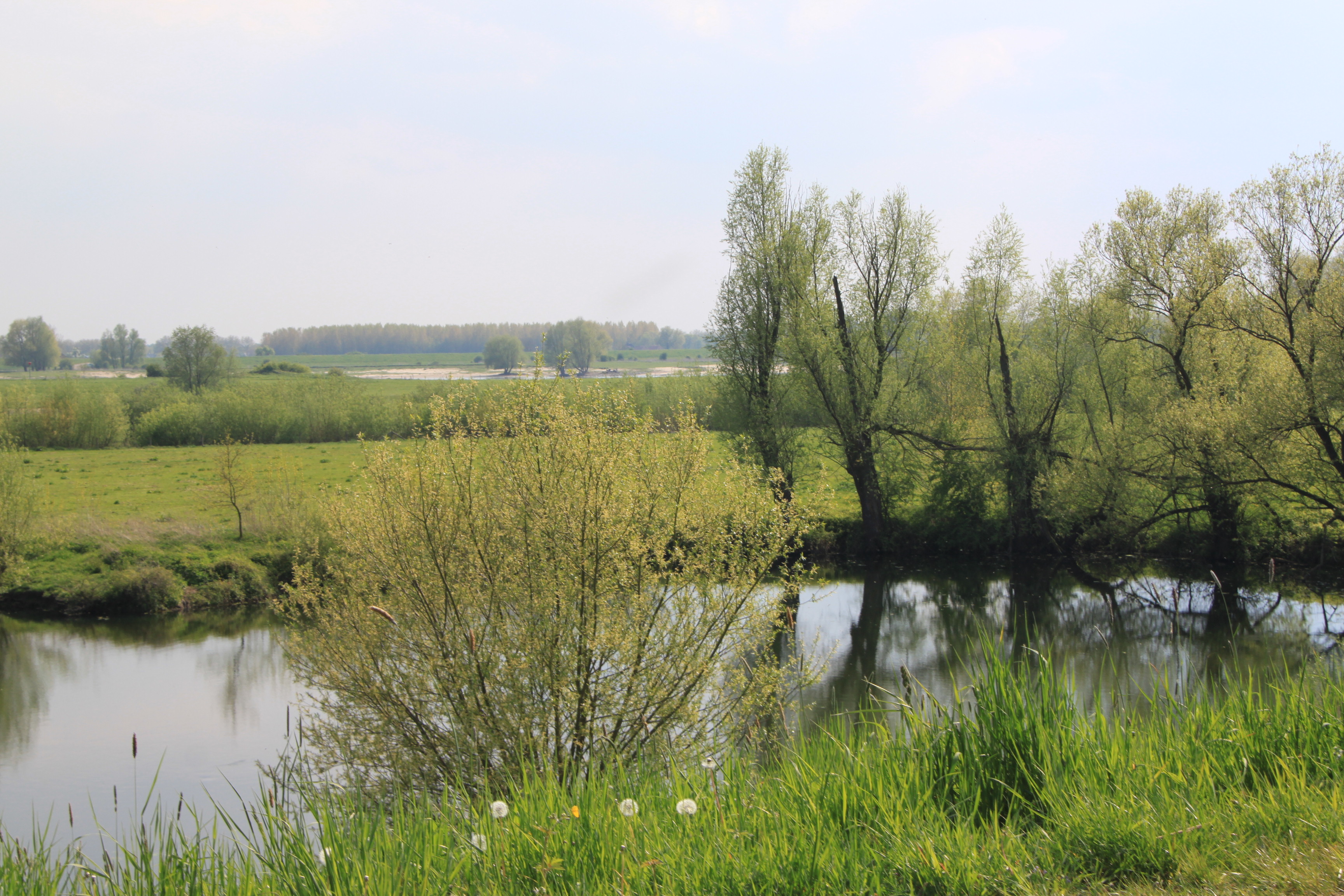 Kolken langs De Waal