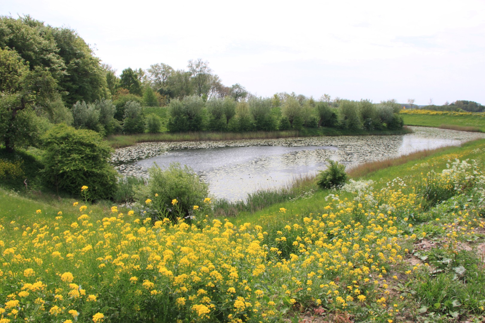 Kolk bij Fort Everdingen