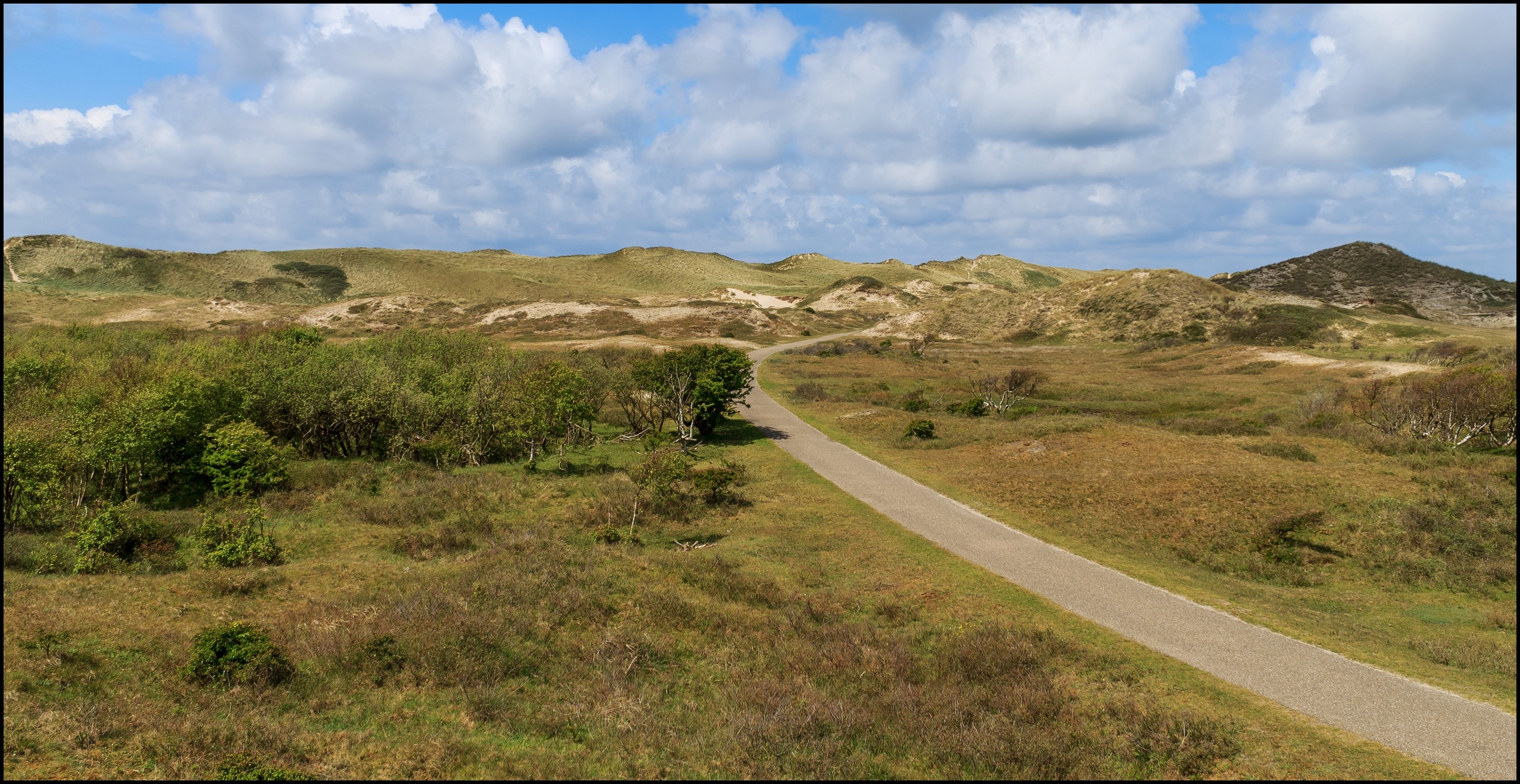 Duinen.