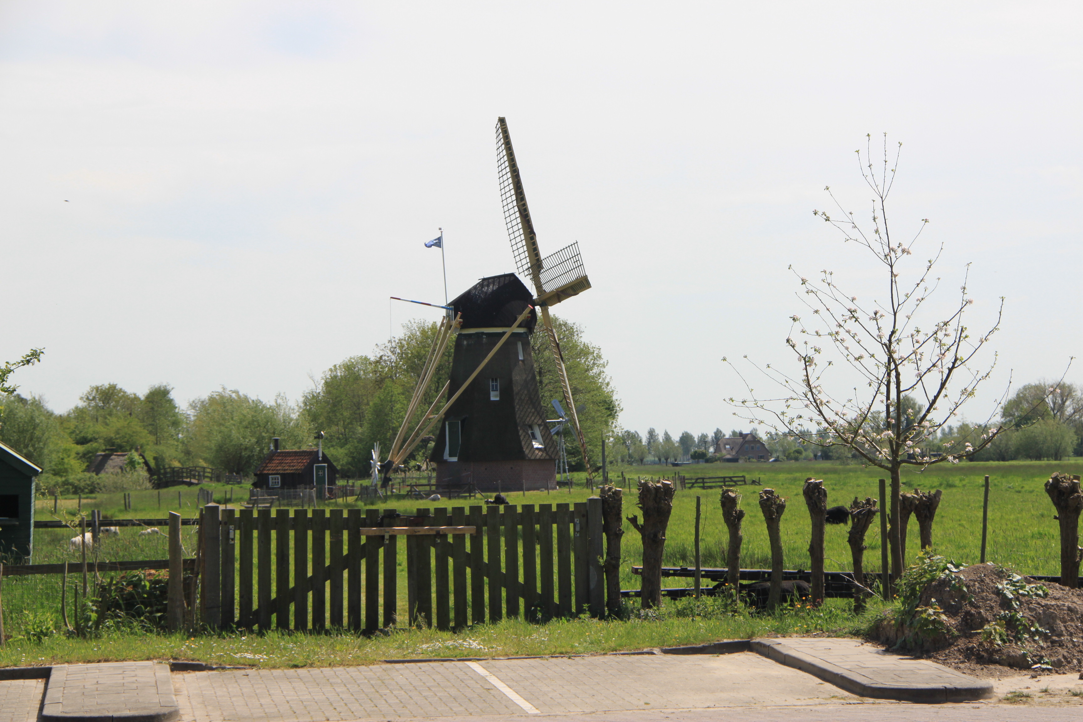 Molen