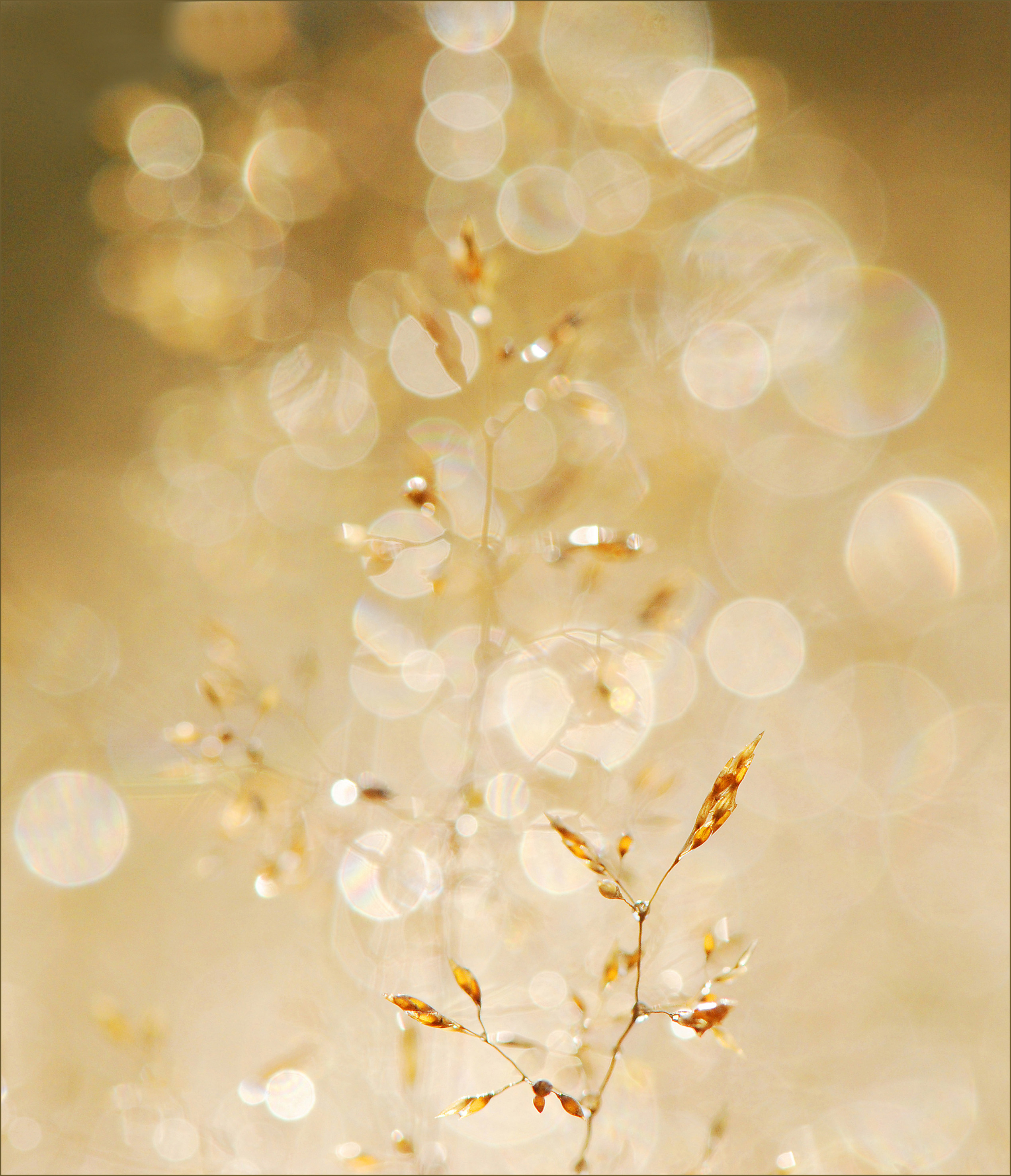 A bit closer 2_02