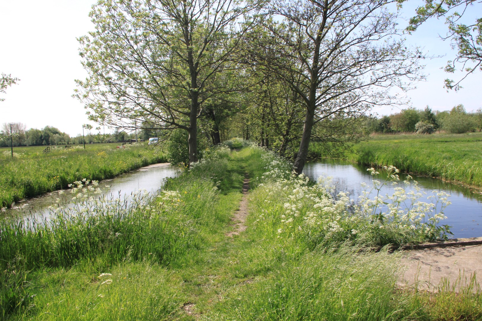 Pad temidden van 2 sloten