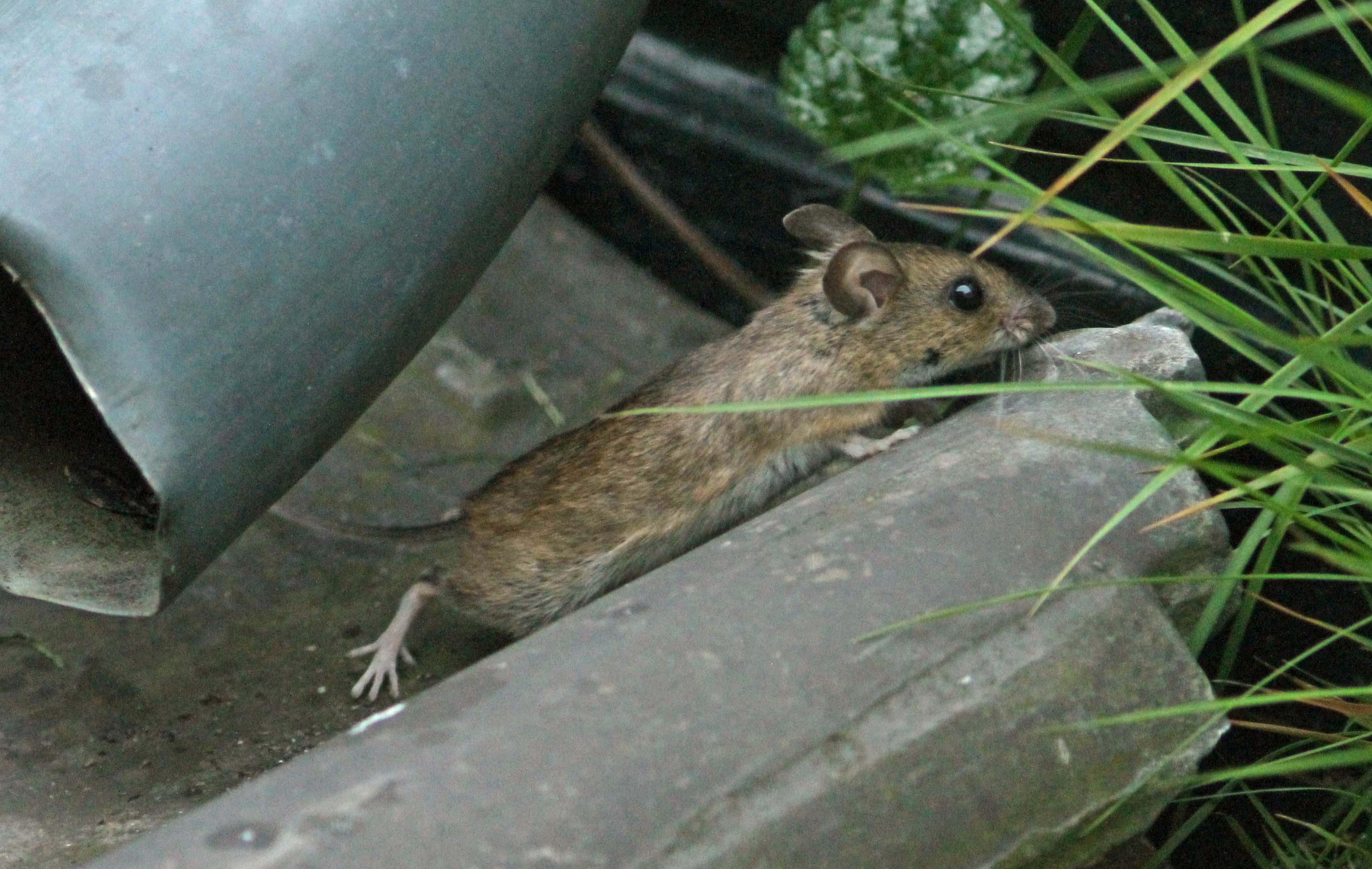 Oh jee, waar ben ik nu?