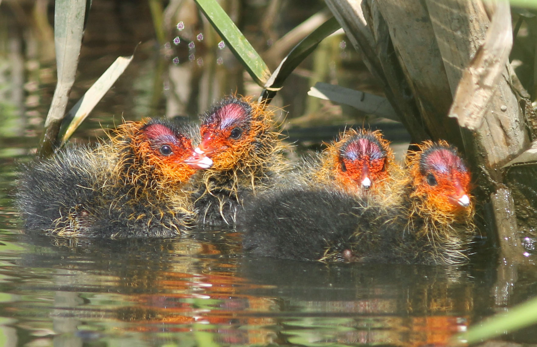 Oh wat zijn we mooi!