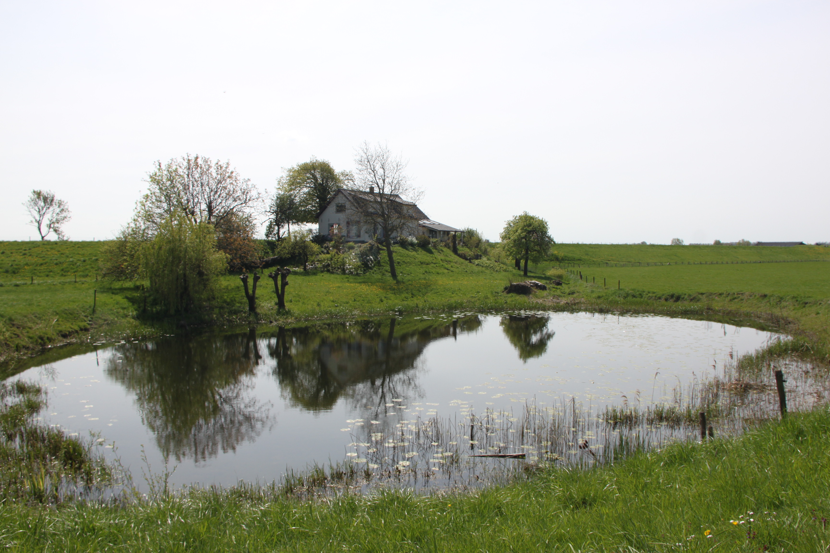 Kolk achter rivierdijk
