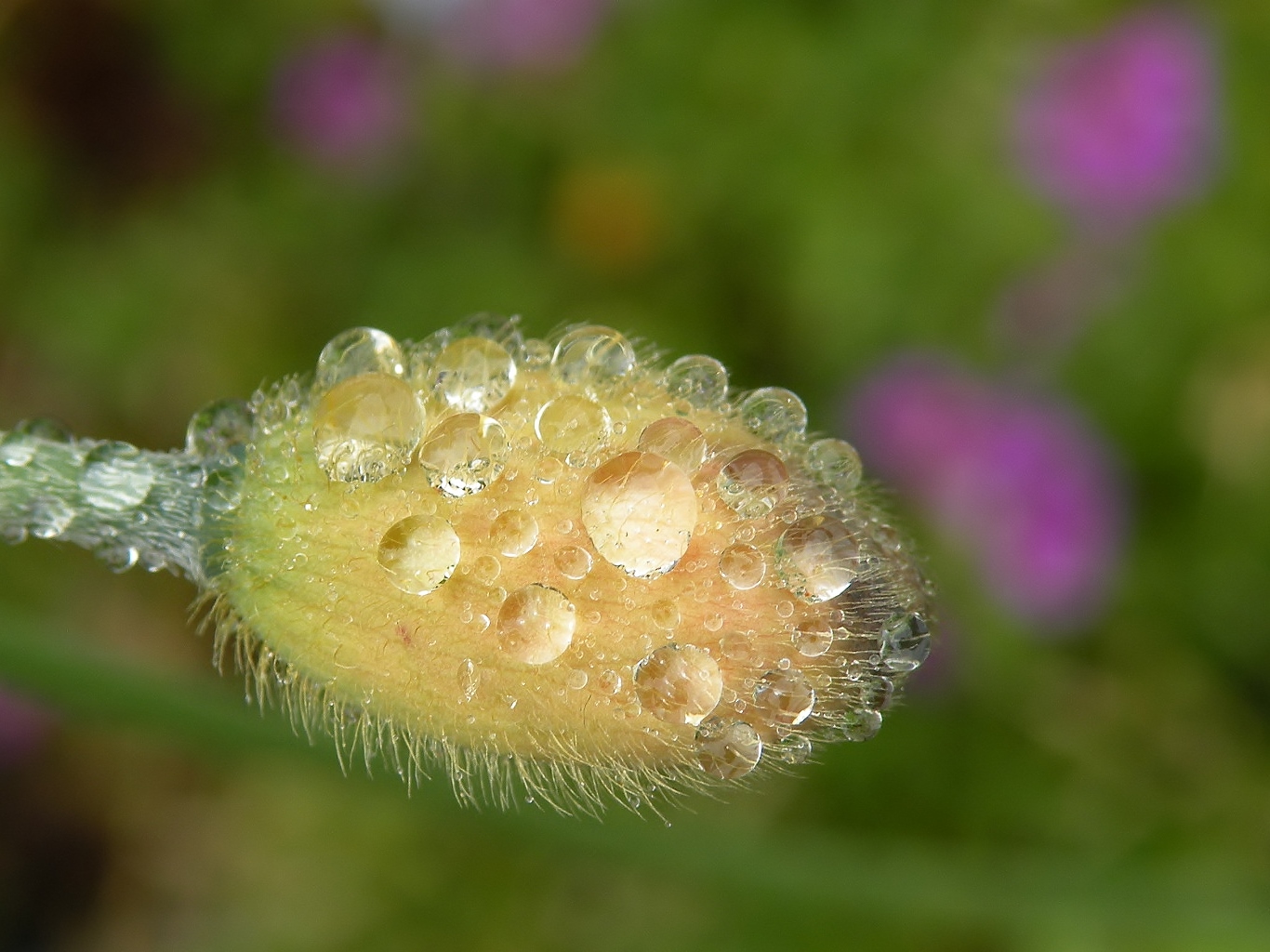 We wachten op "zon"dag