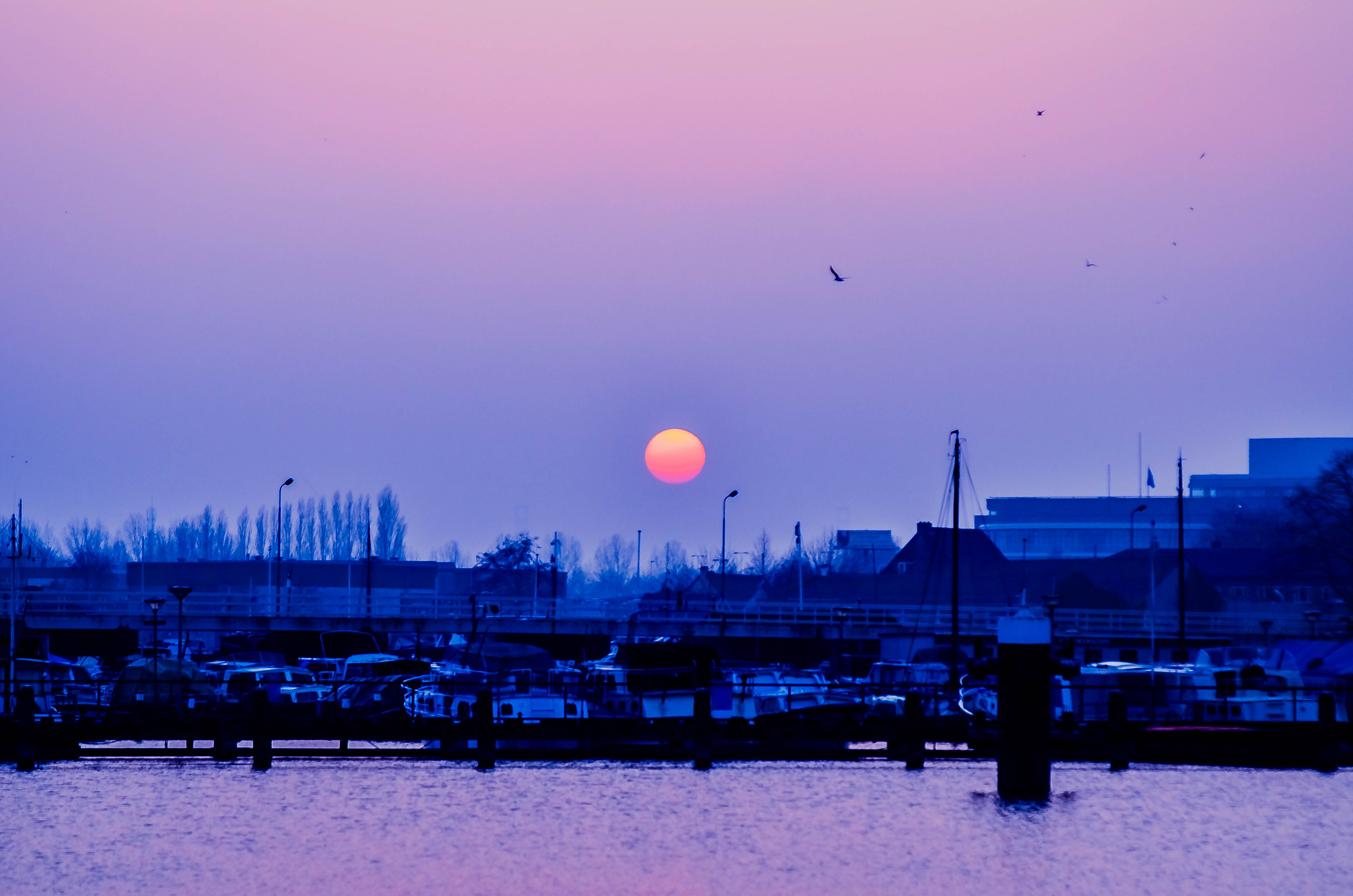 Zonsondergang aan de Zaan