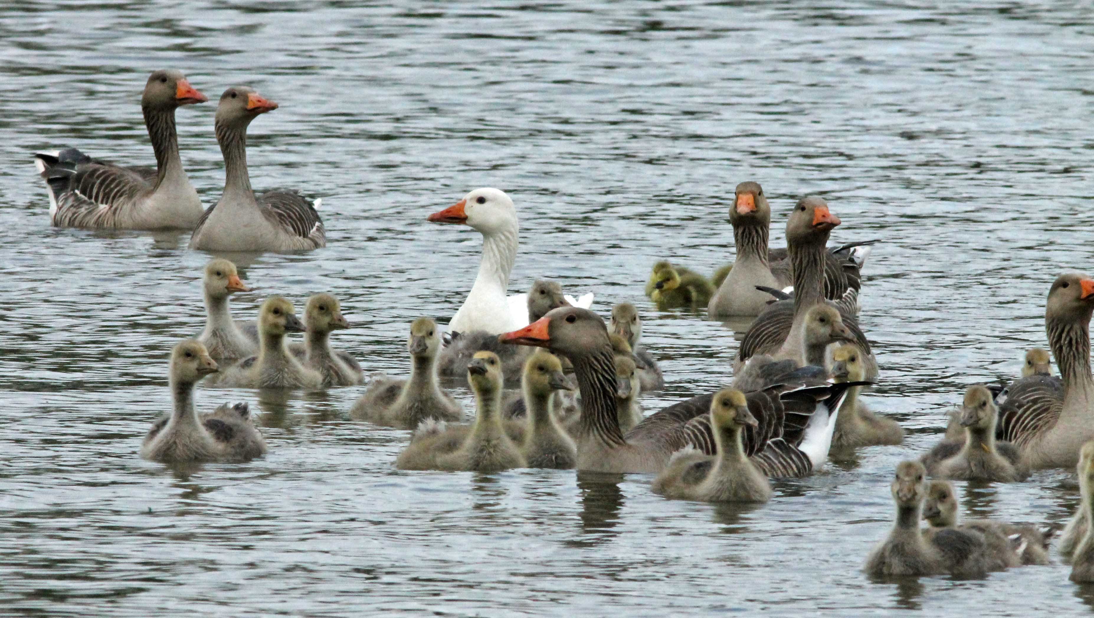 Oef, volle boel hier...