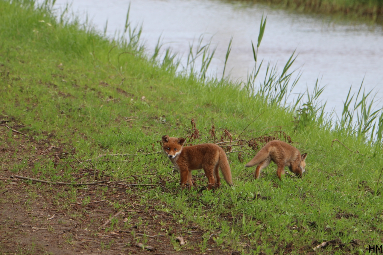 even alleen naar buiten