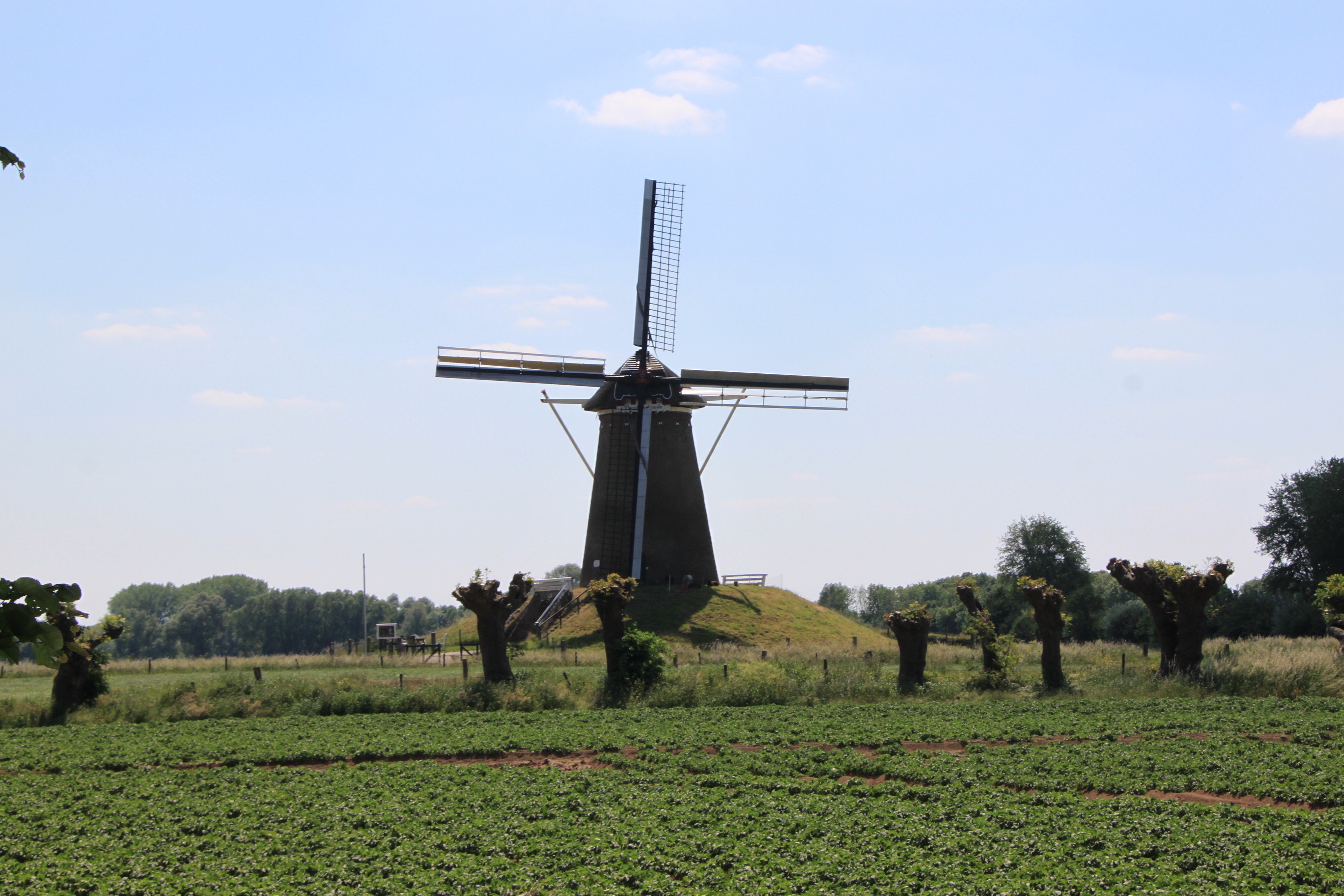 Molen
