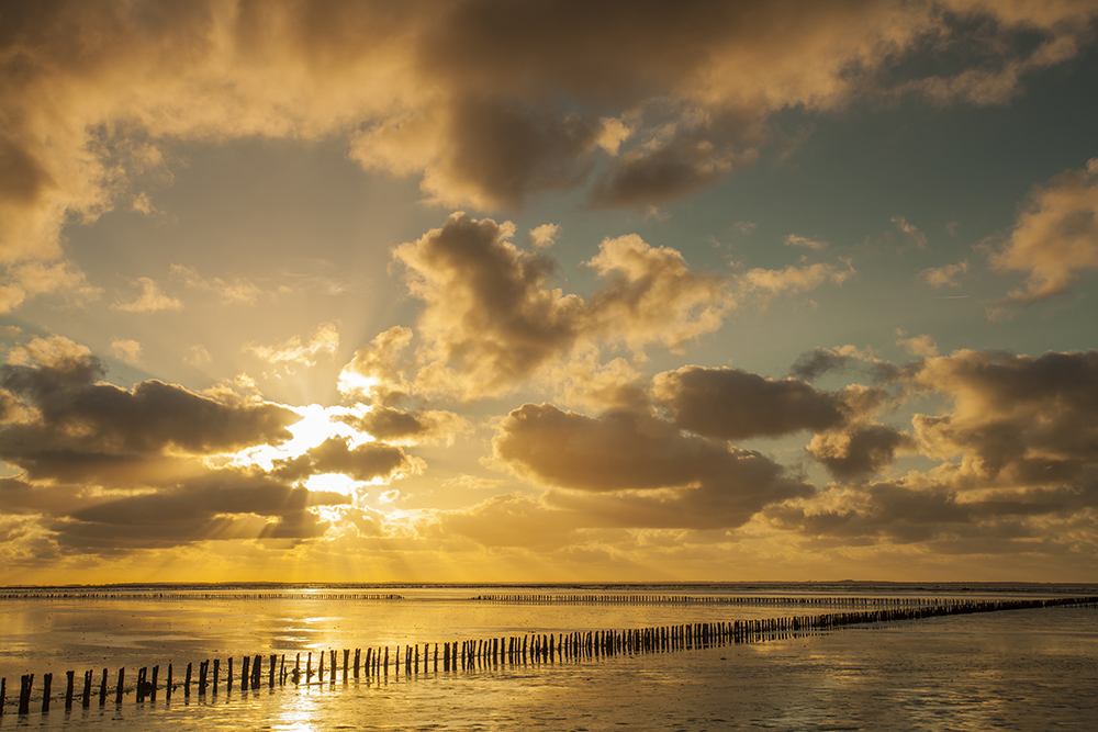 Het Wad 