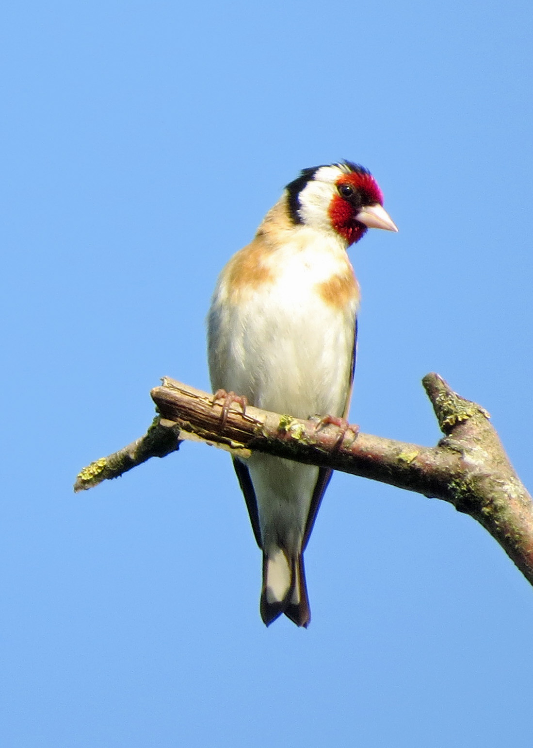 Weer een stralende dag