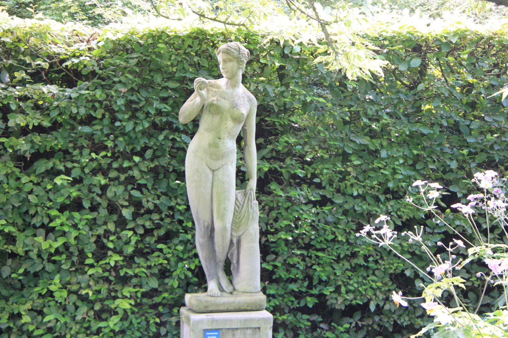 Veel bloemen en beelden