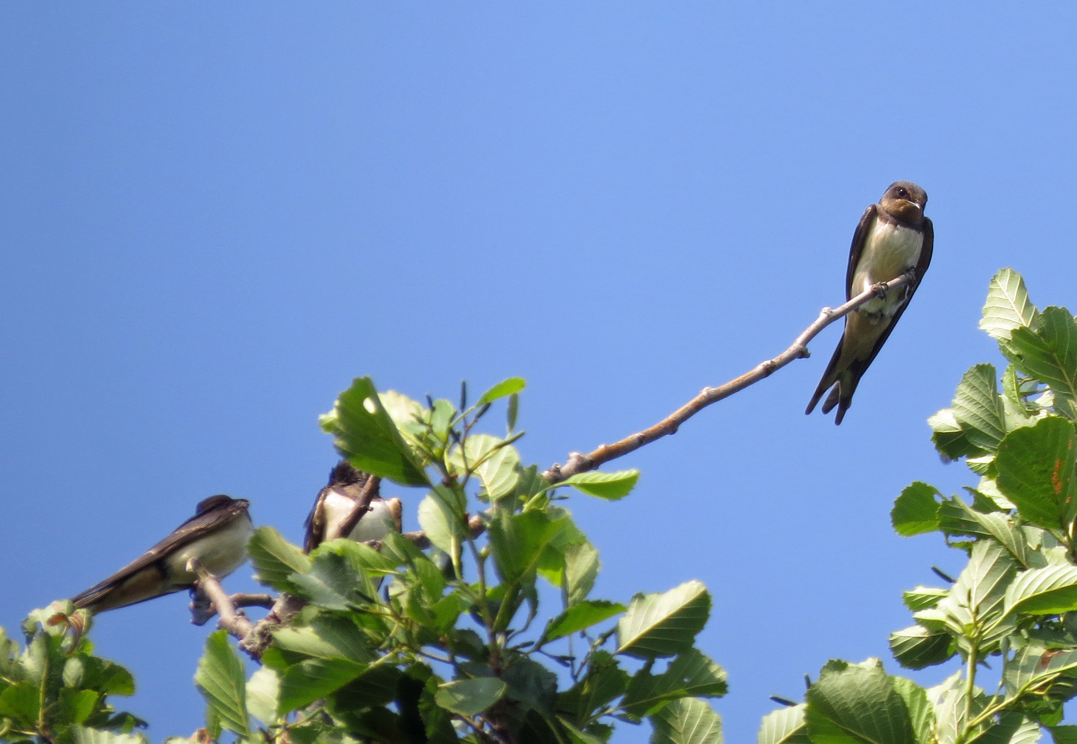 Ik kijk wel naar deze kant...