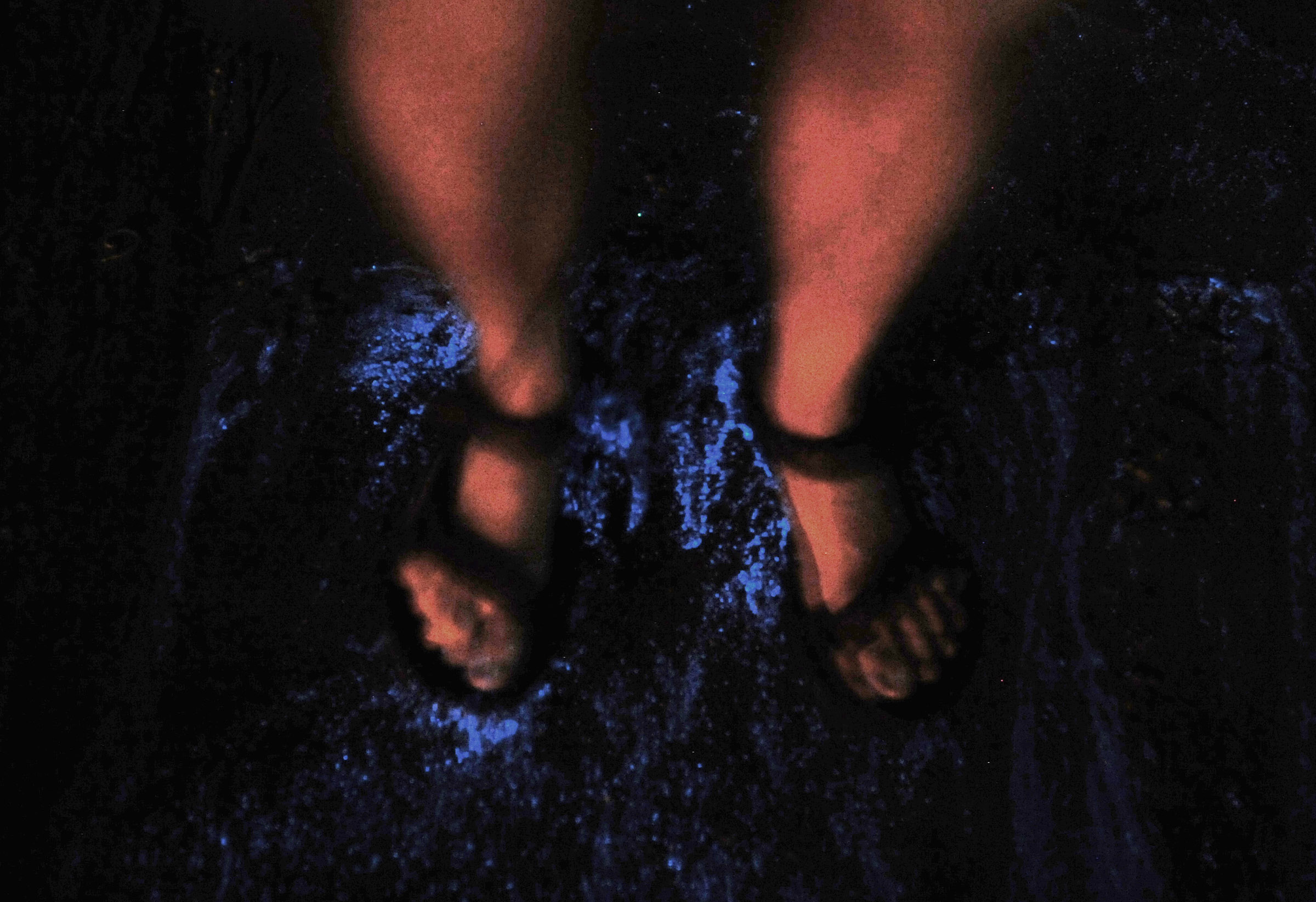 Zeevonk met voeten in 2012