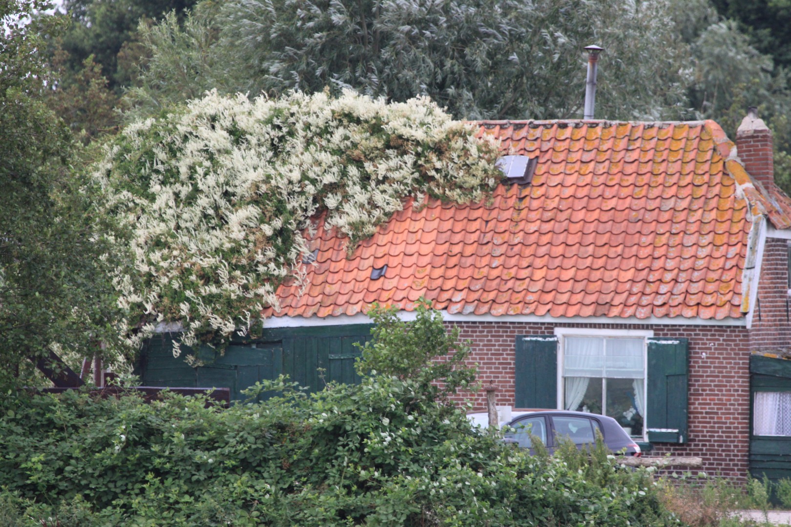 Huis met..Bruidssluier