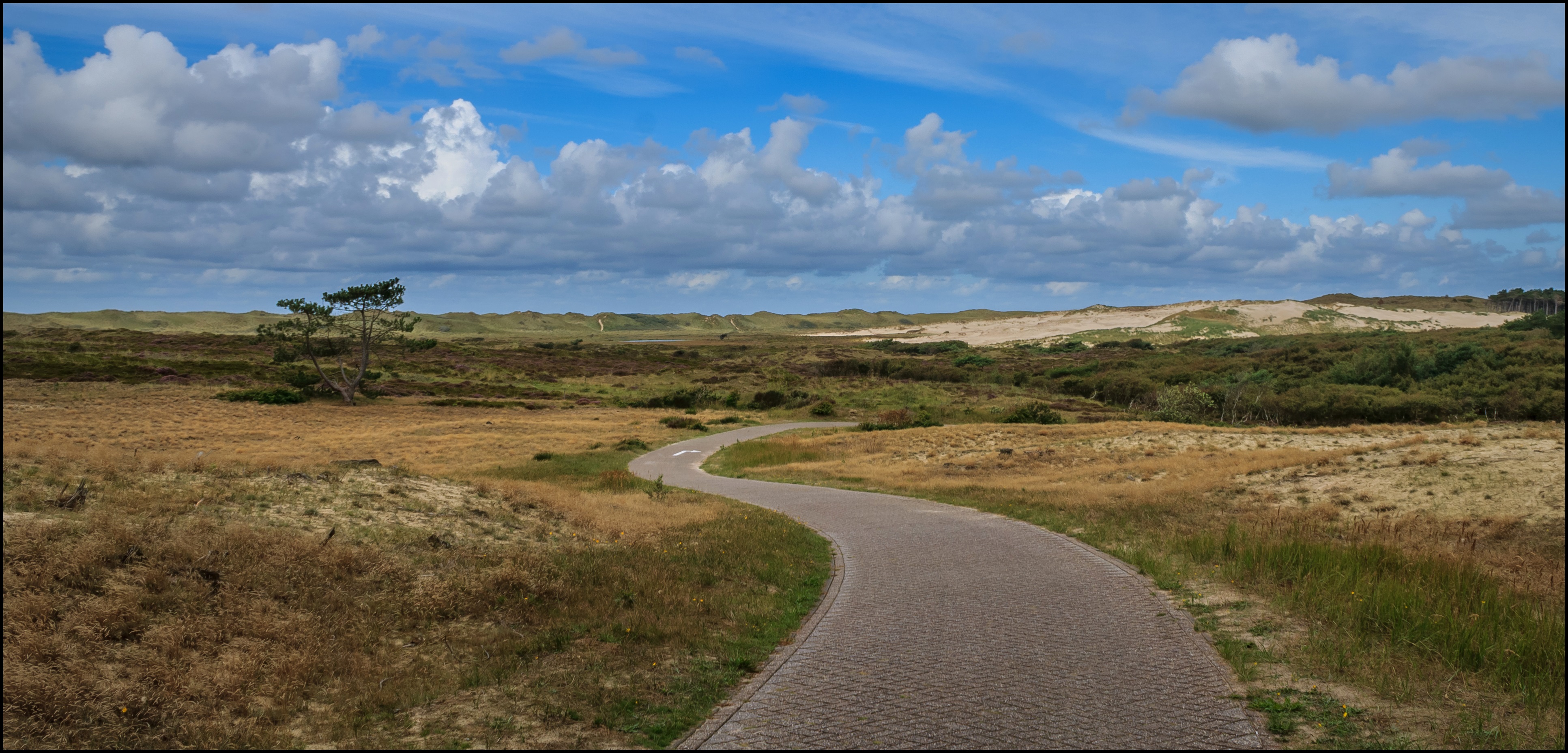 Schoorls duingebied.