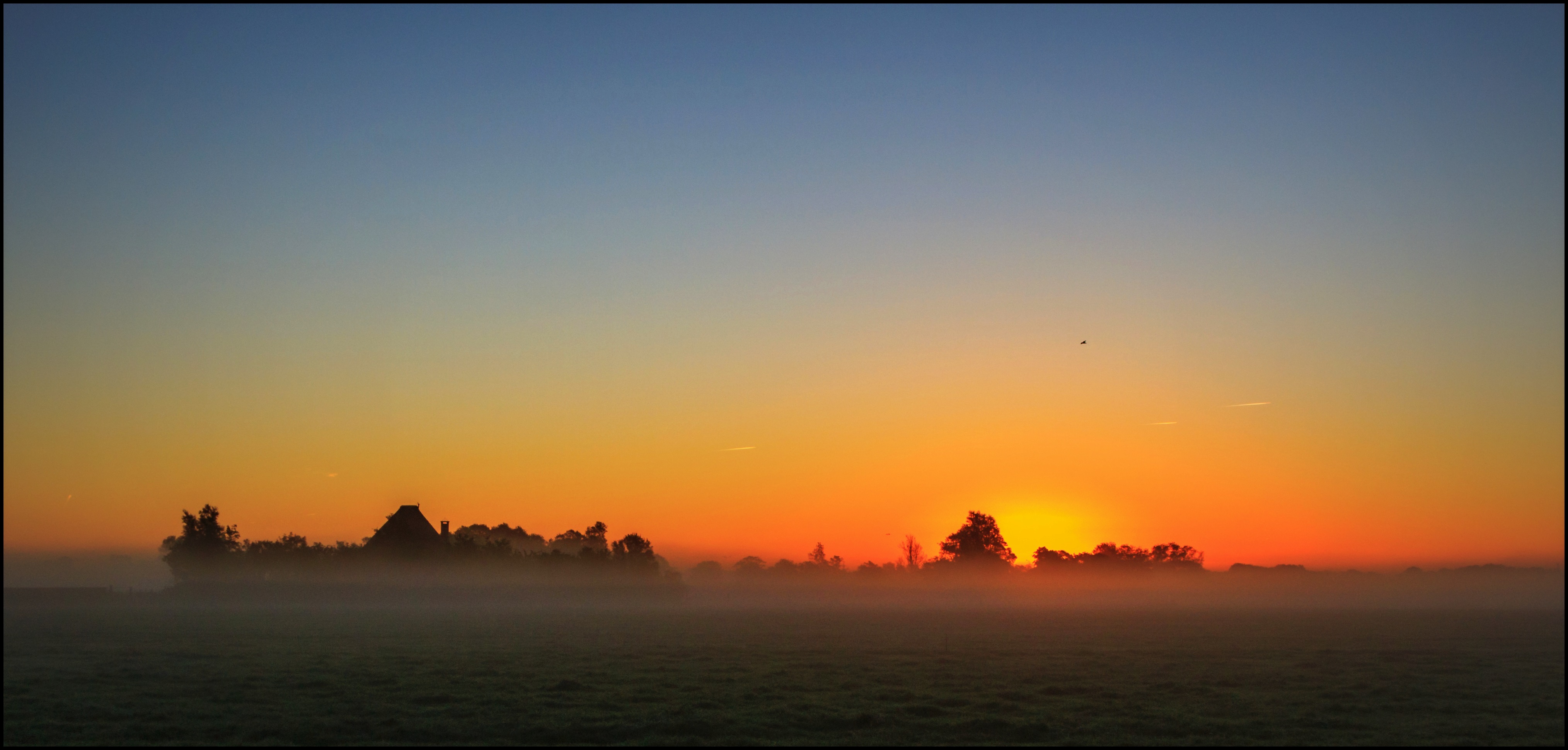 Zonsopkomst en nevel.