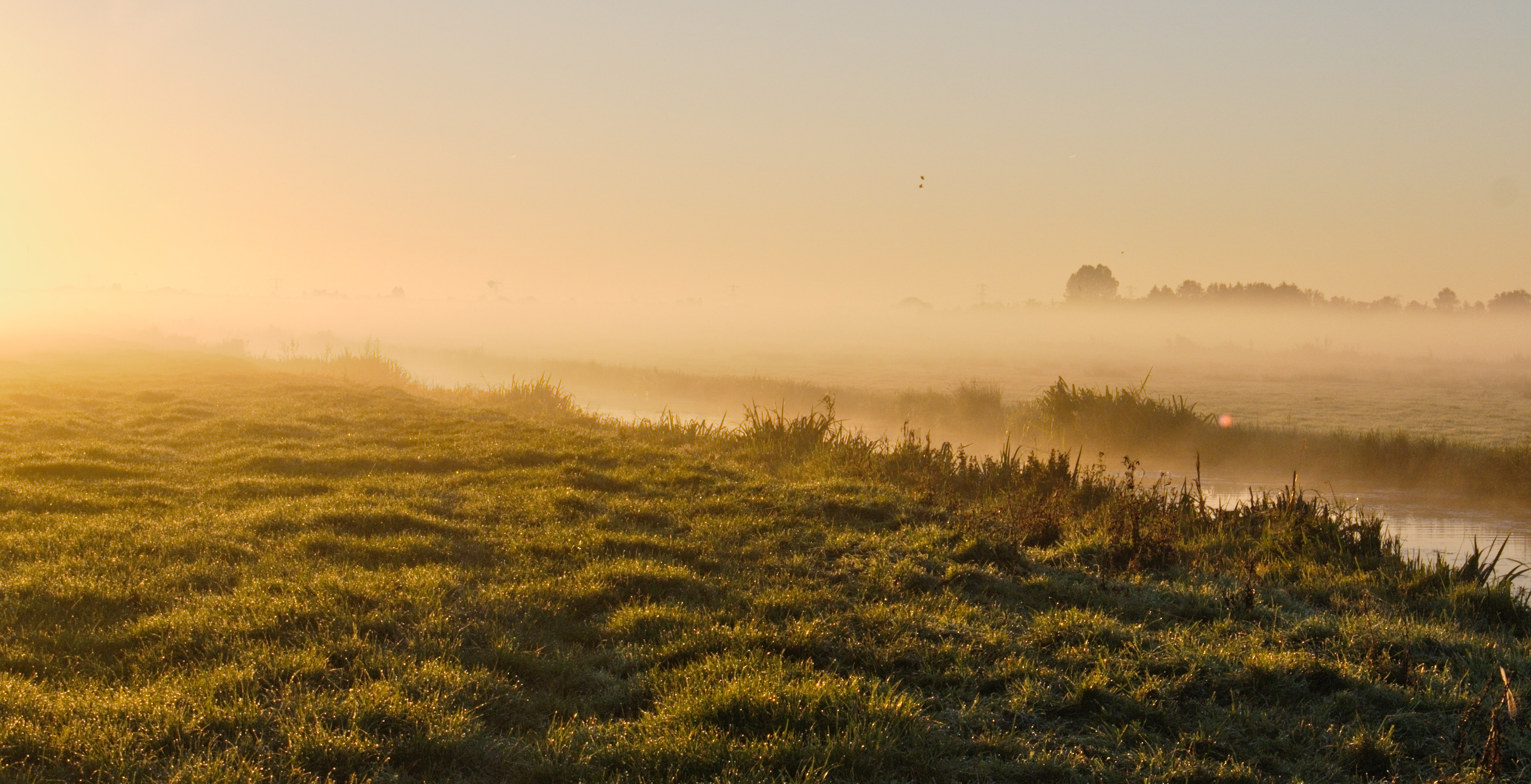 Nabij de Reeuwijkse Plassen