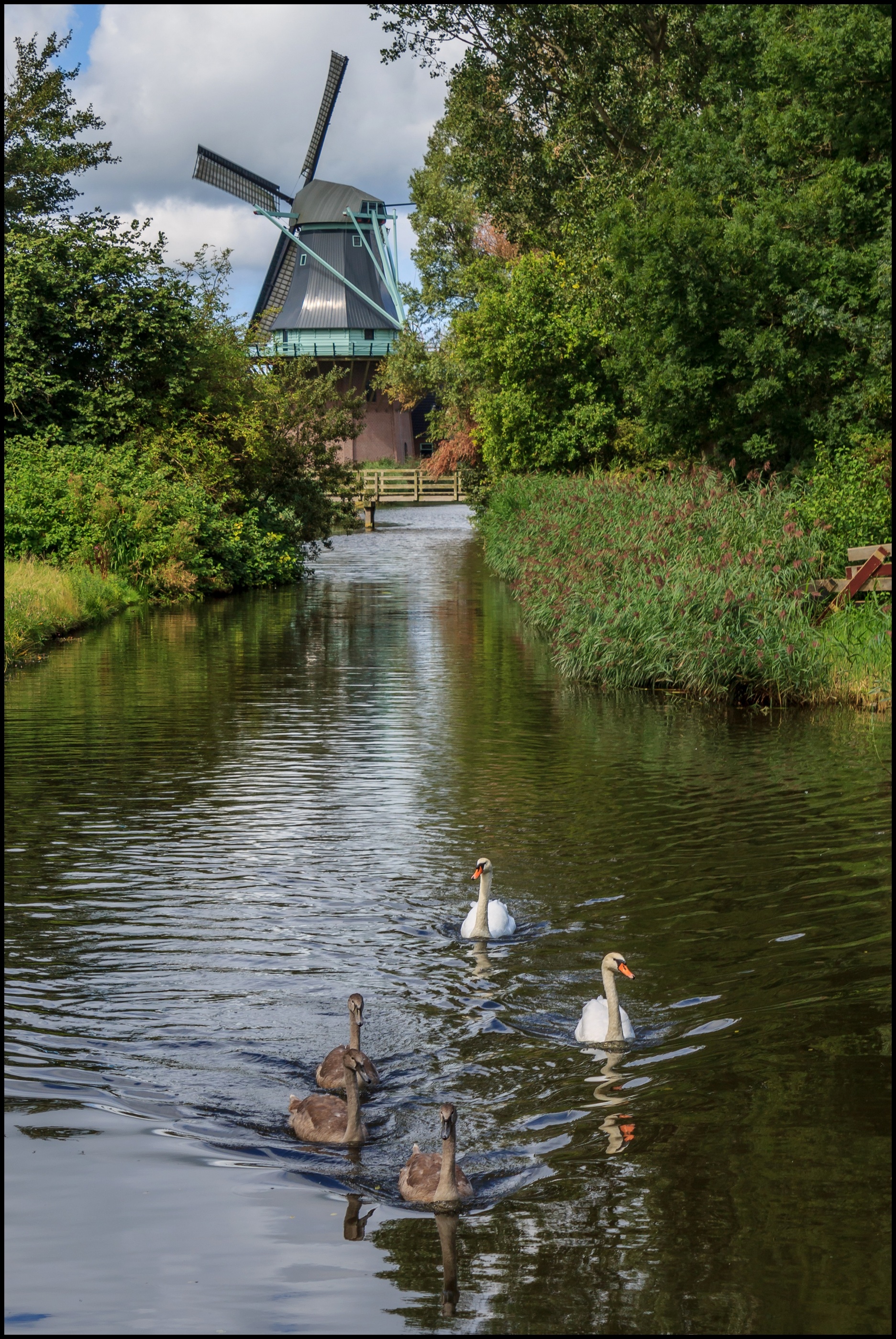 Tussen de buien door (2).