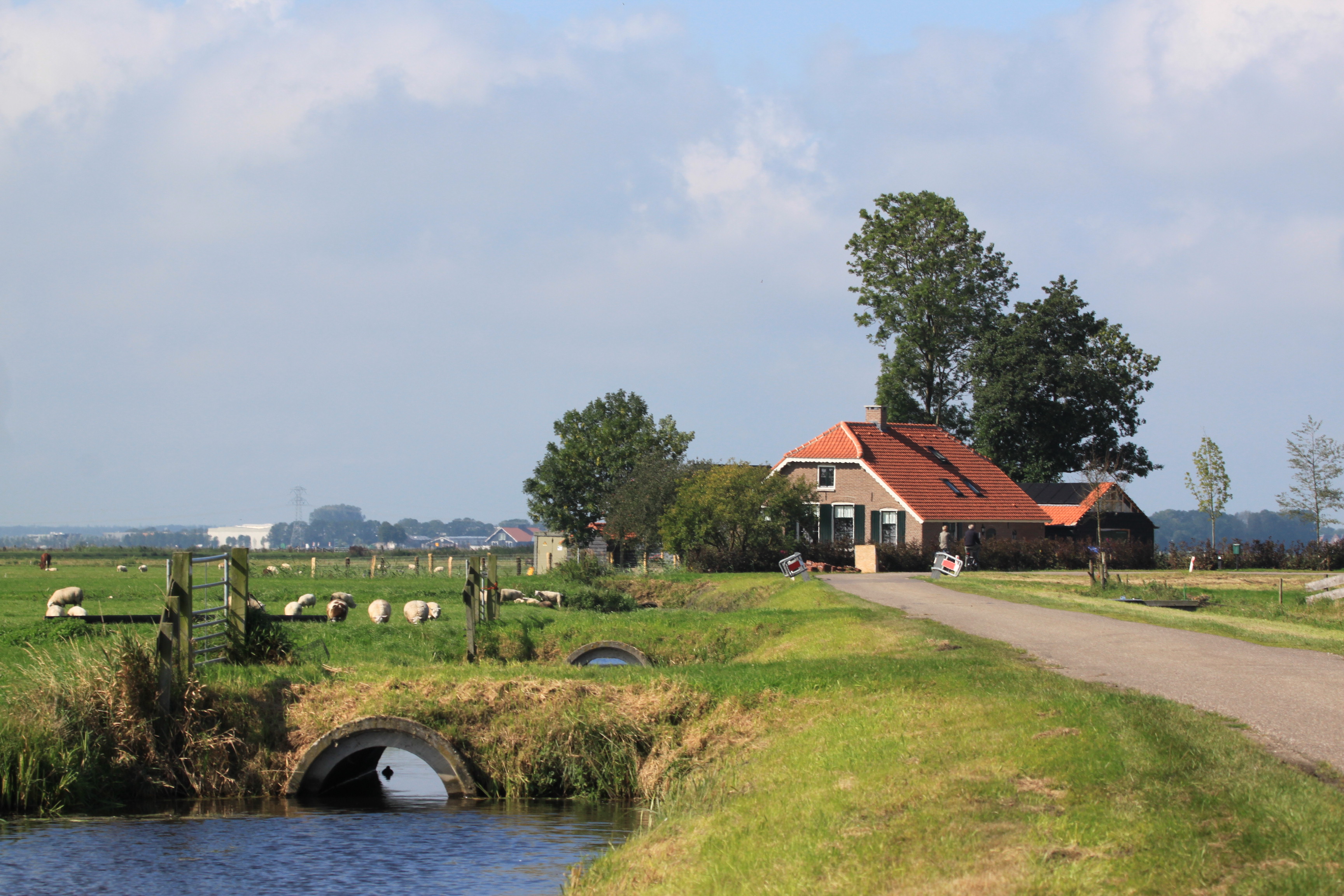 Sloot bij boerderij