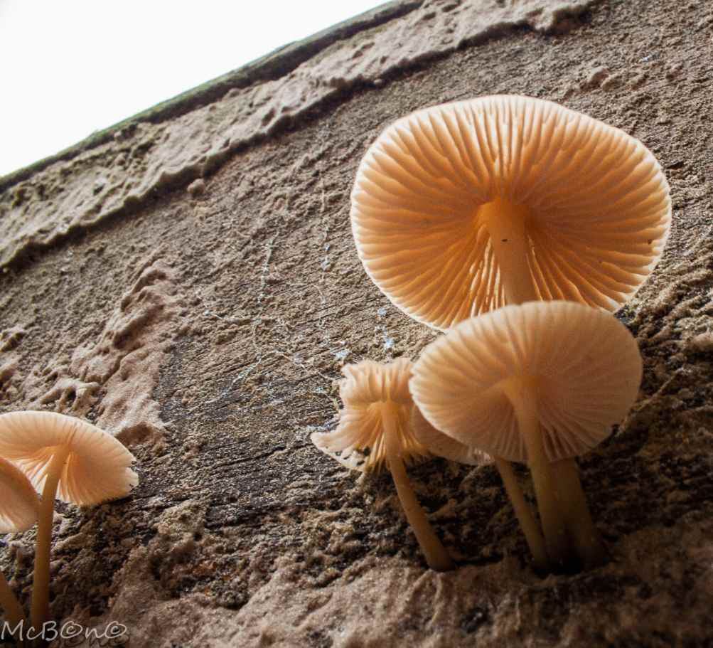 ondertussen in de zandbak