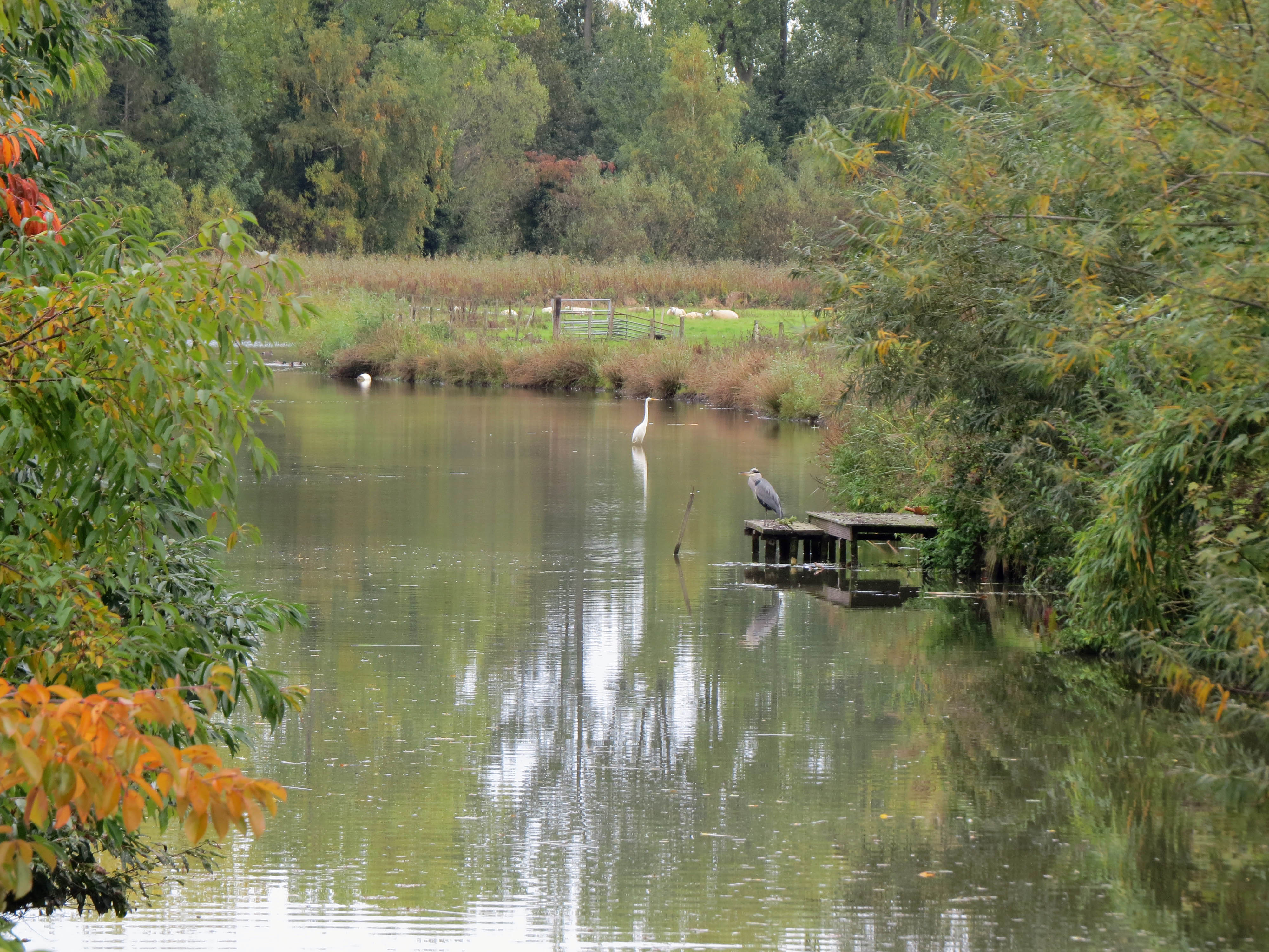 Rustige herfstmiddag