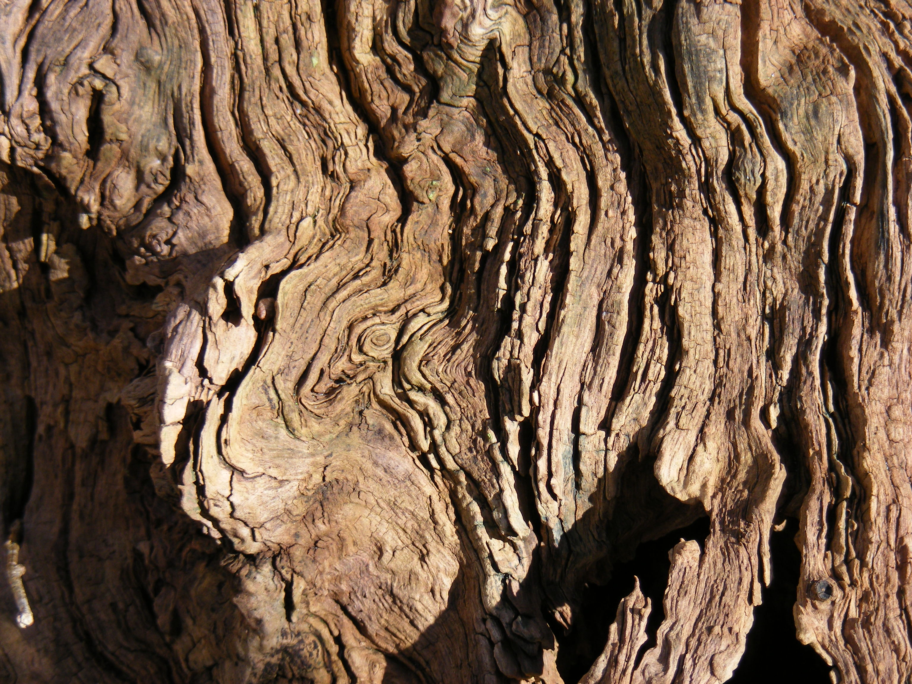 curved in wood....