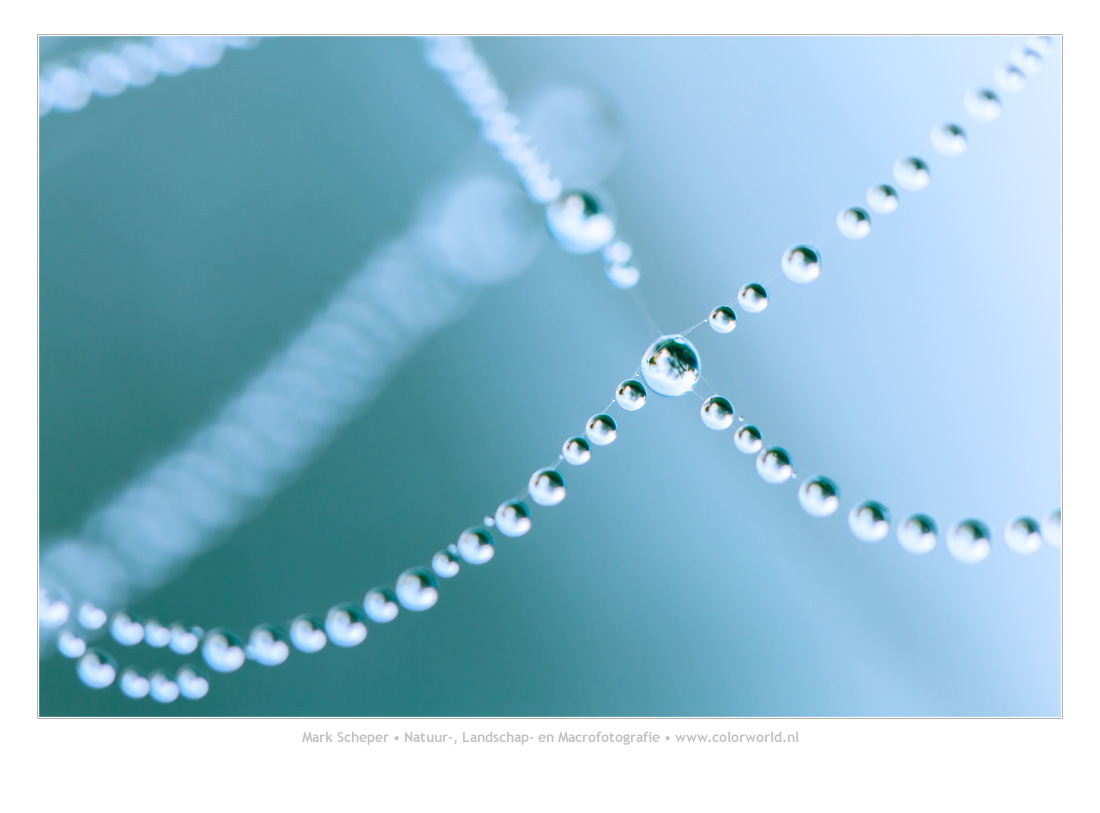 Dew Pearls (1)
