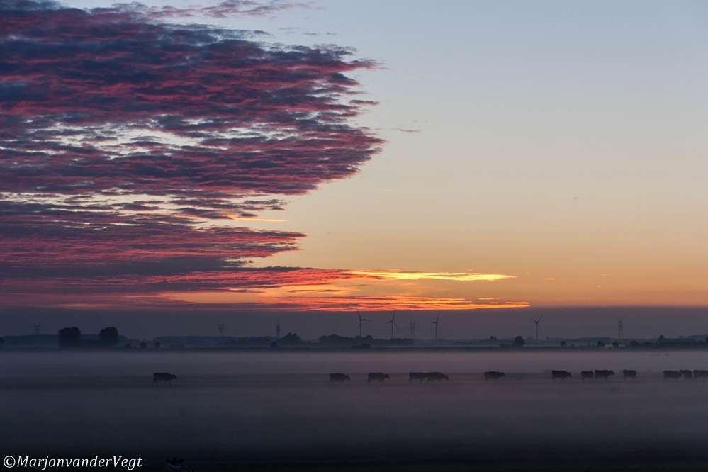 Goedemorgen Nederland