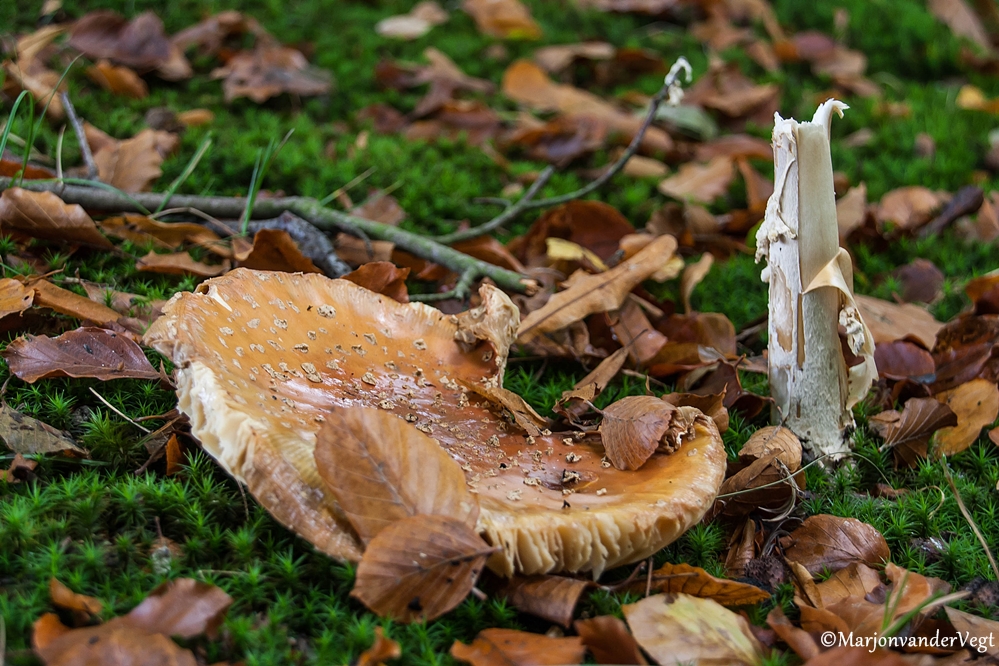 IKEA pakket voor Dirk