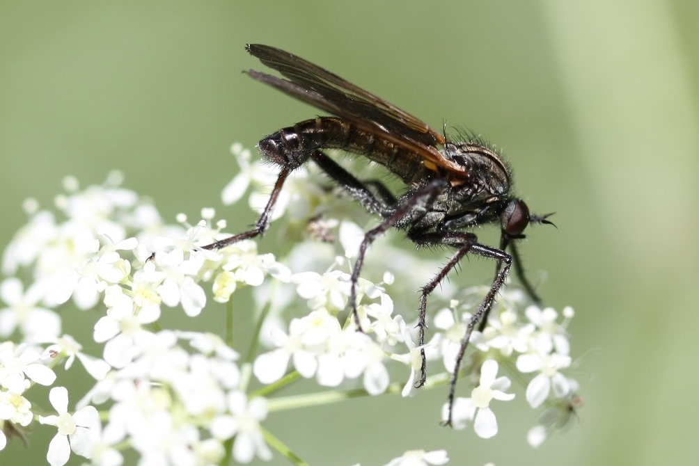 klein maar toch mooi