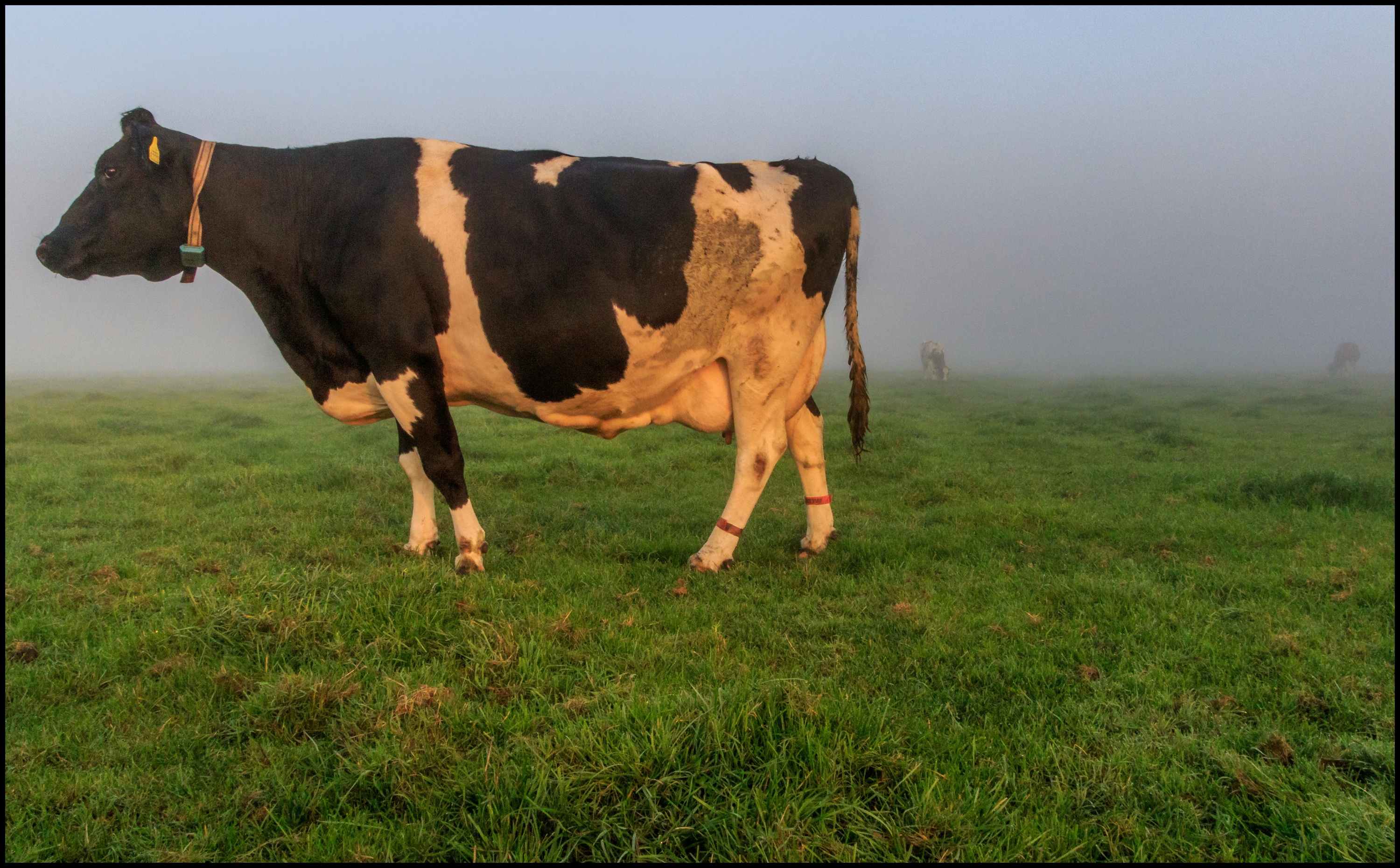 De zon breekt langzaam door,