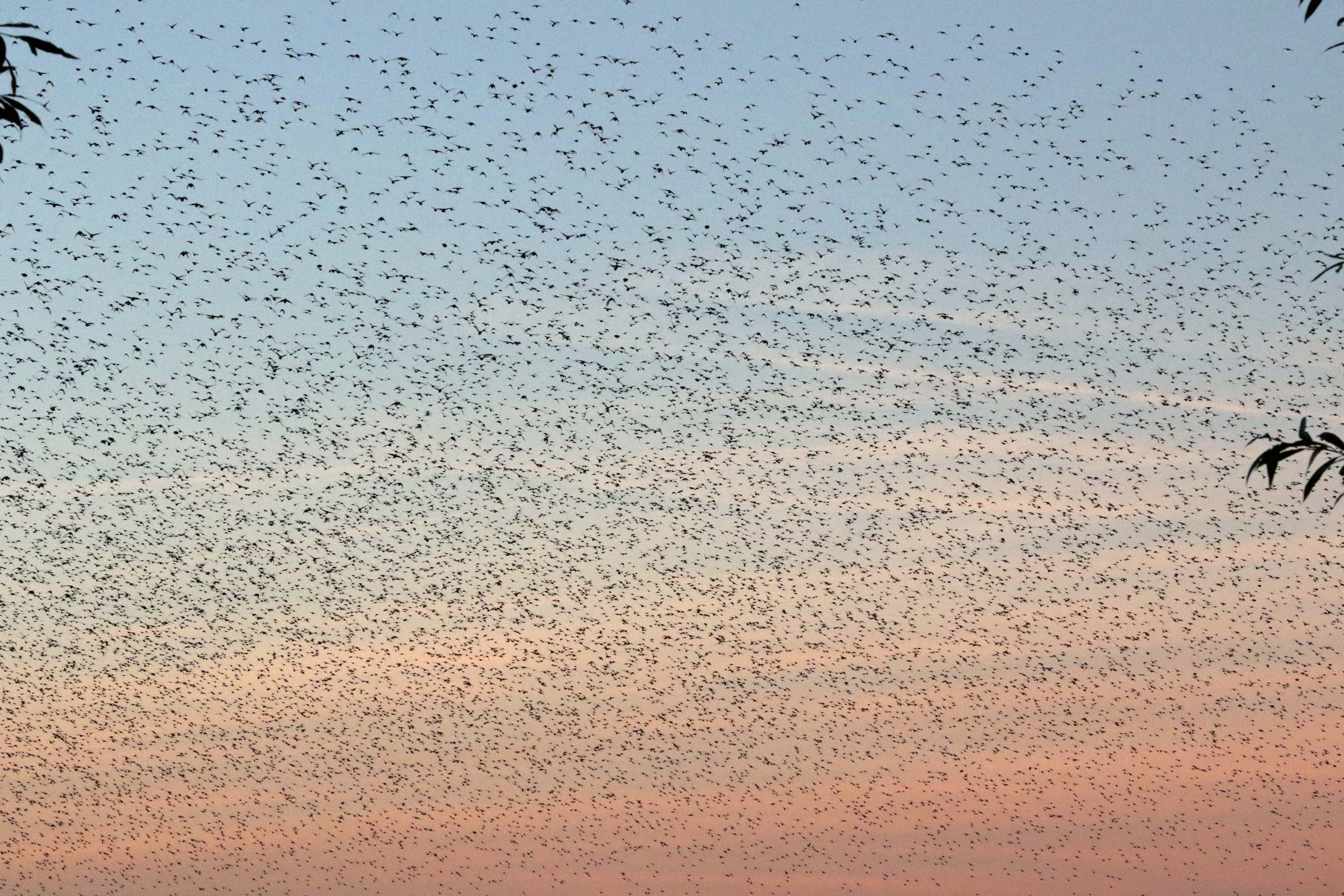 Even een slaapplaats zoeken