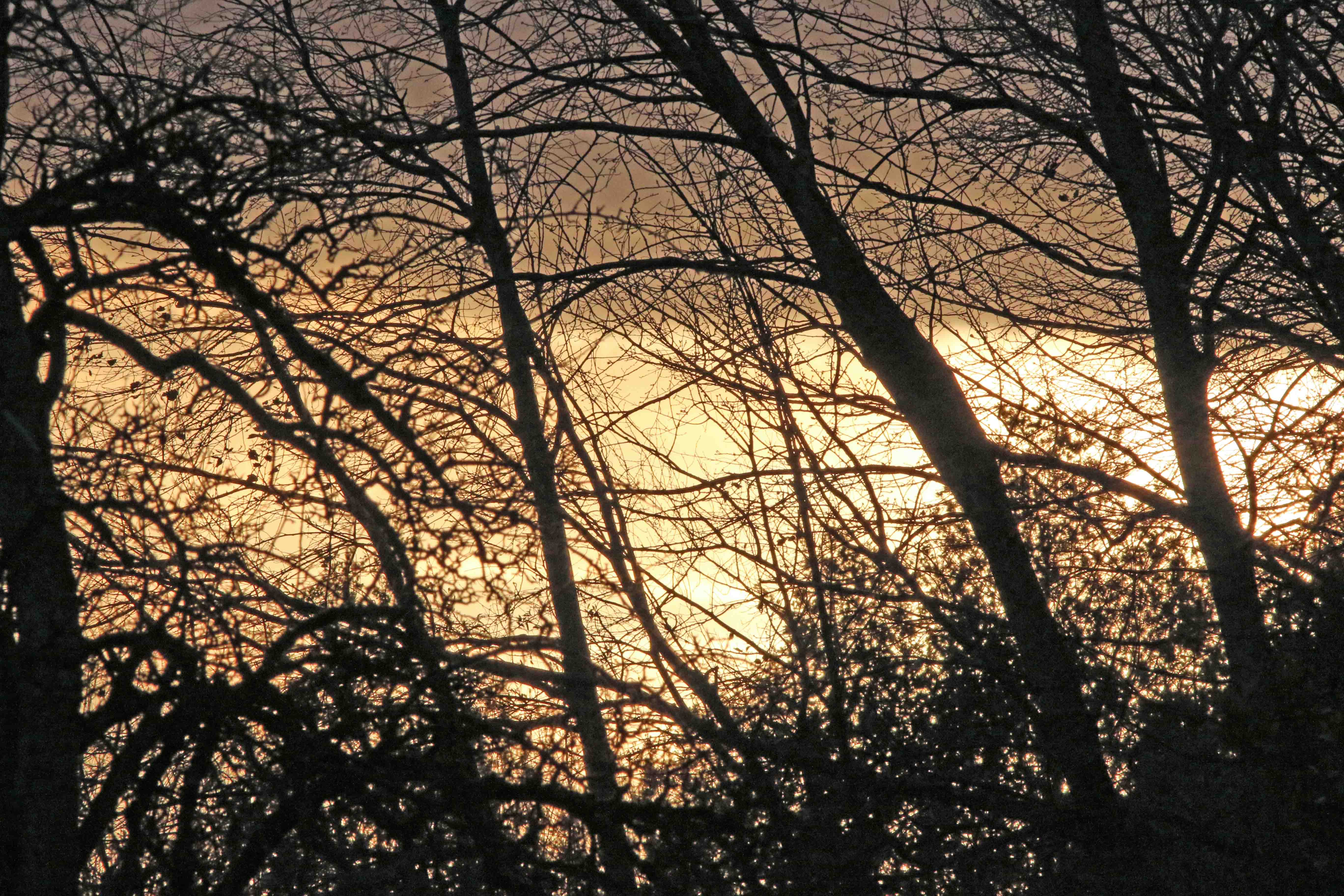Wordt nu Sinterklaastijd...