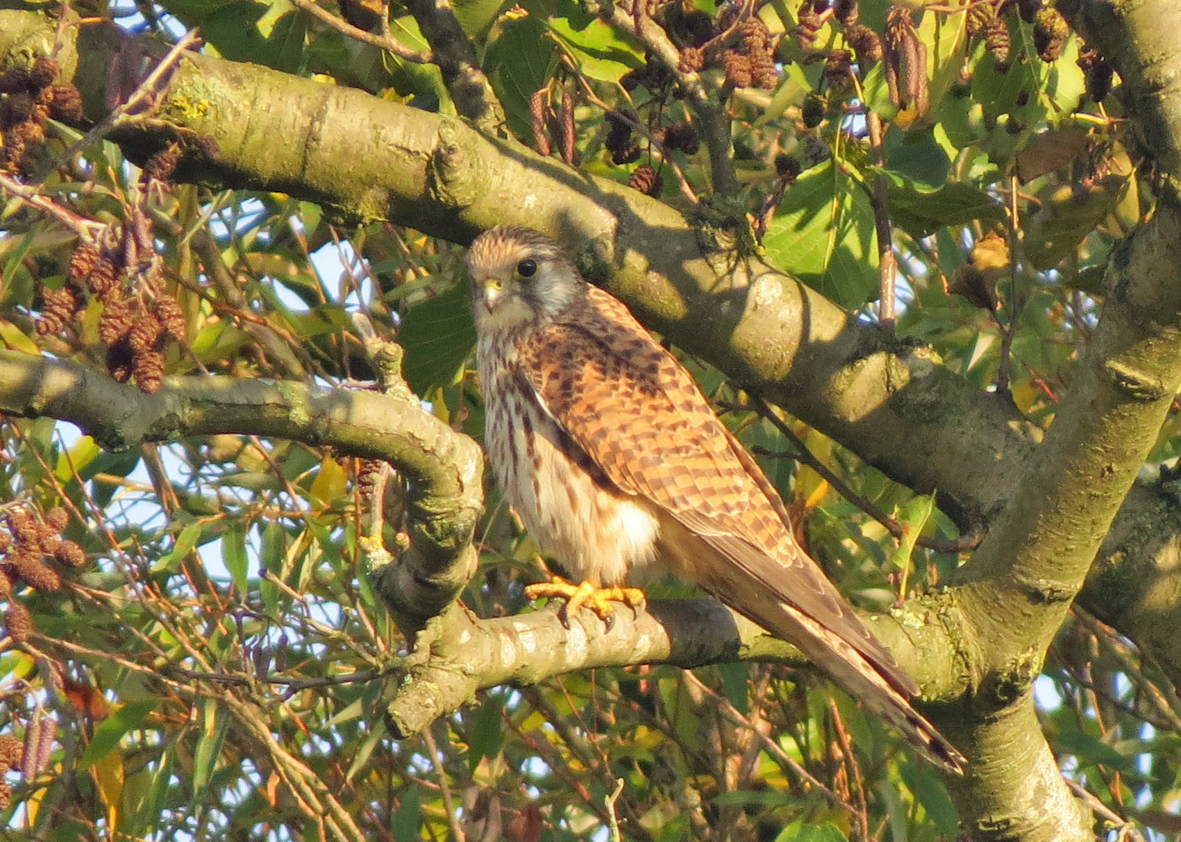 Nog even van de zon genieten