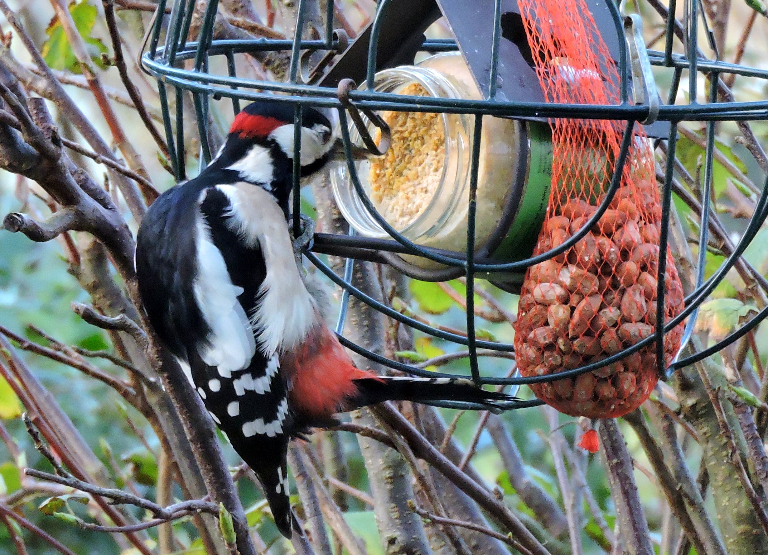 Hier is de pindakaas!