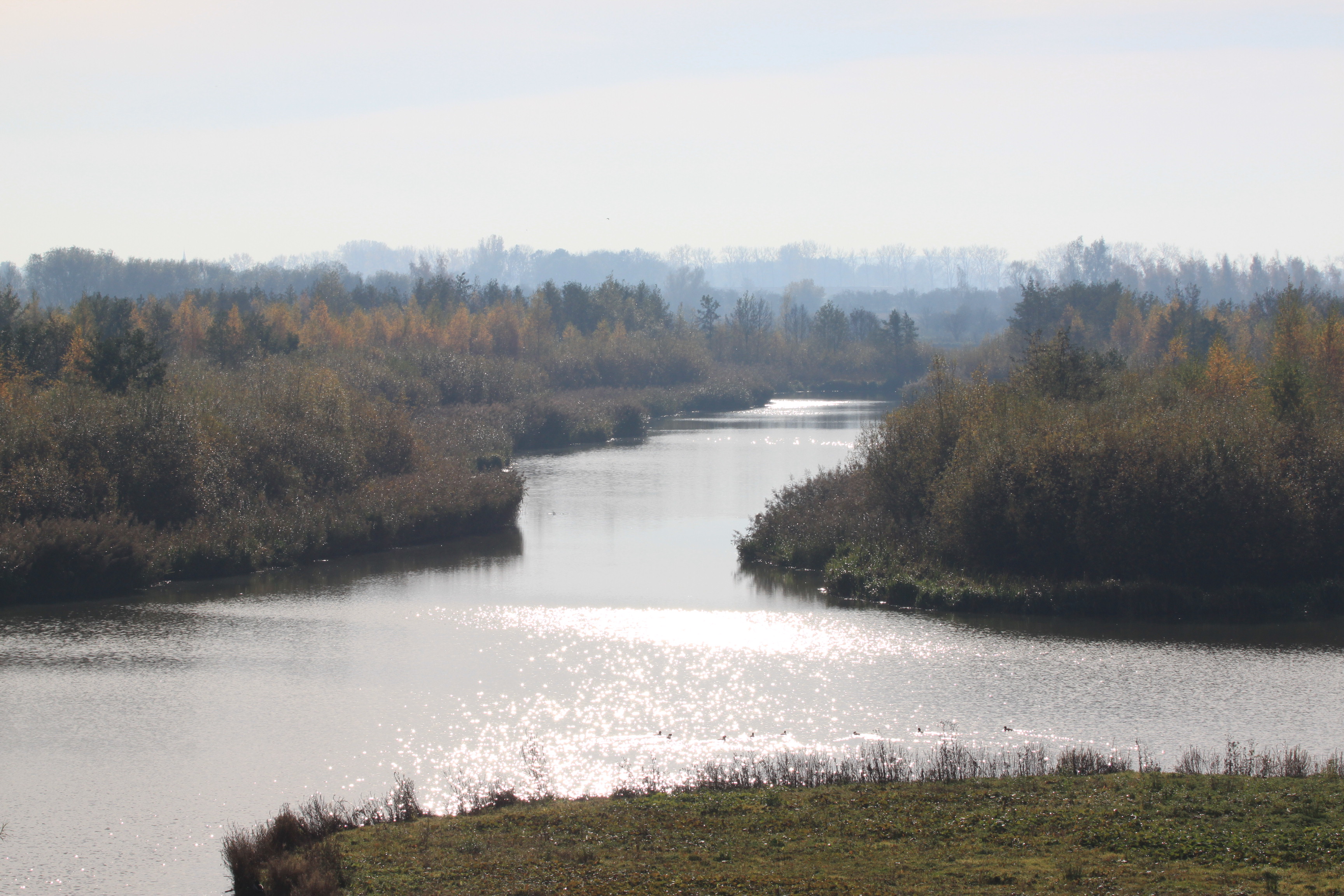 Meer in herfststemming